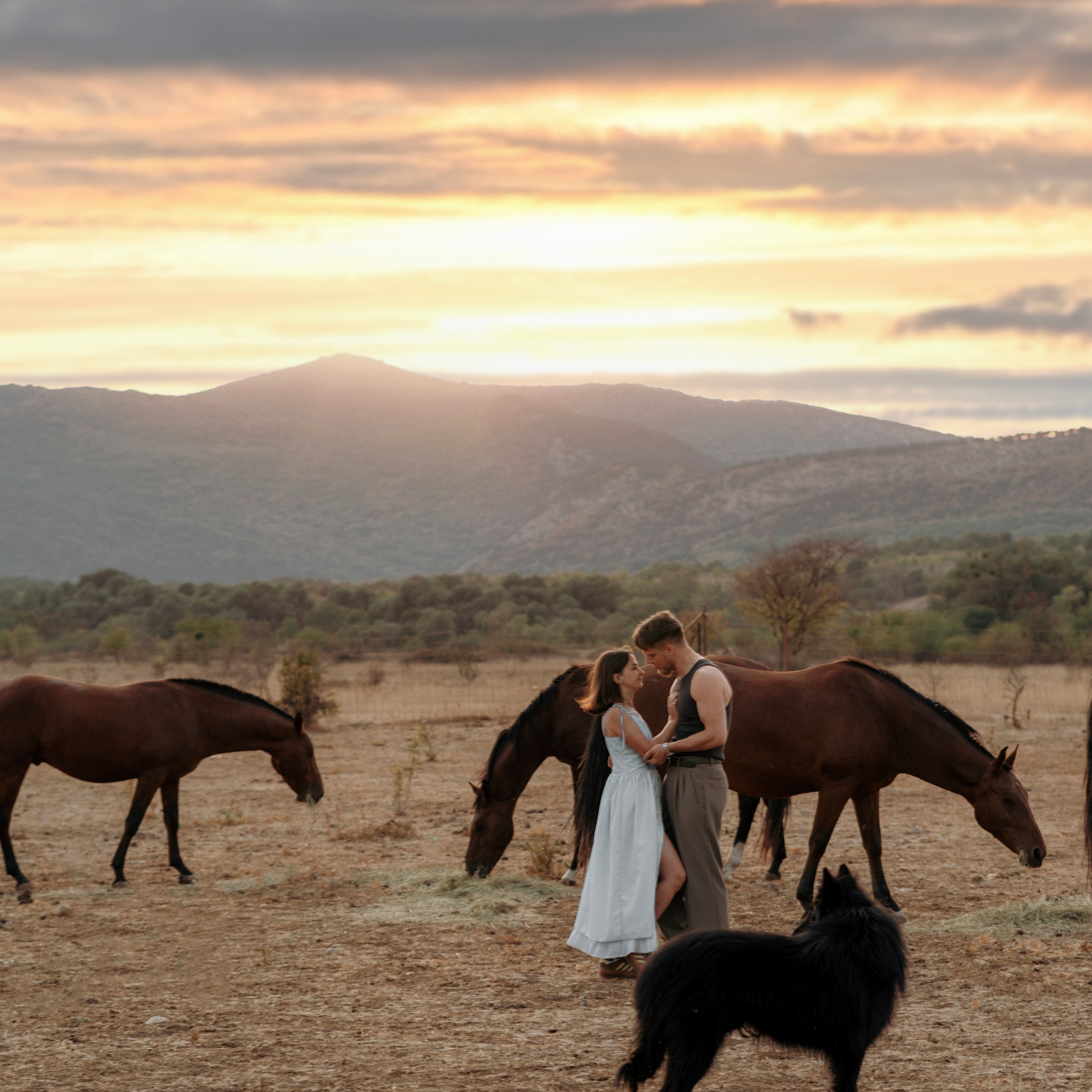 Фотосессии с лошадьми. Свадебный фотограф в Севастополе