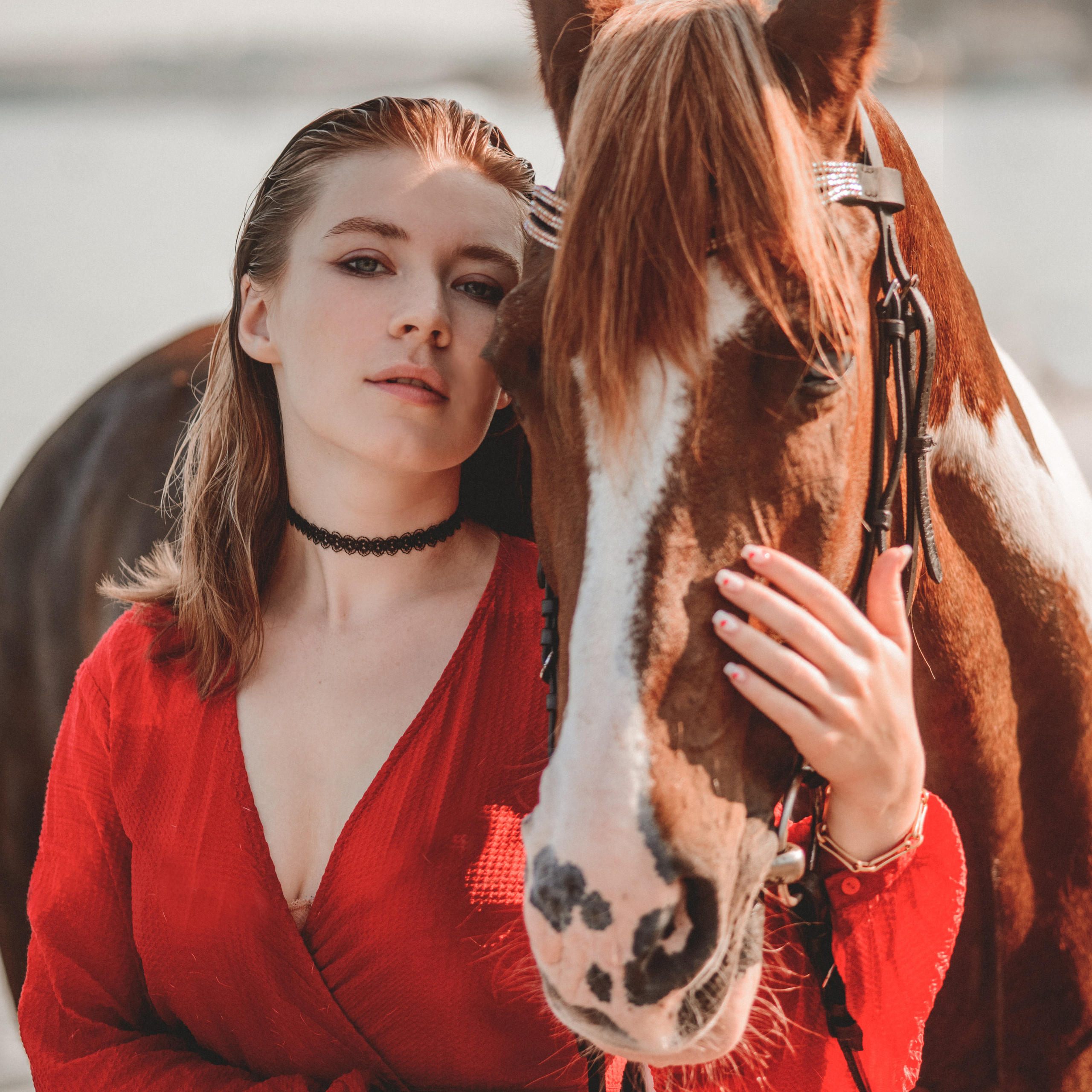 Фотосессии с лошадьми. Свадебный фотограф в Севастополе