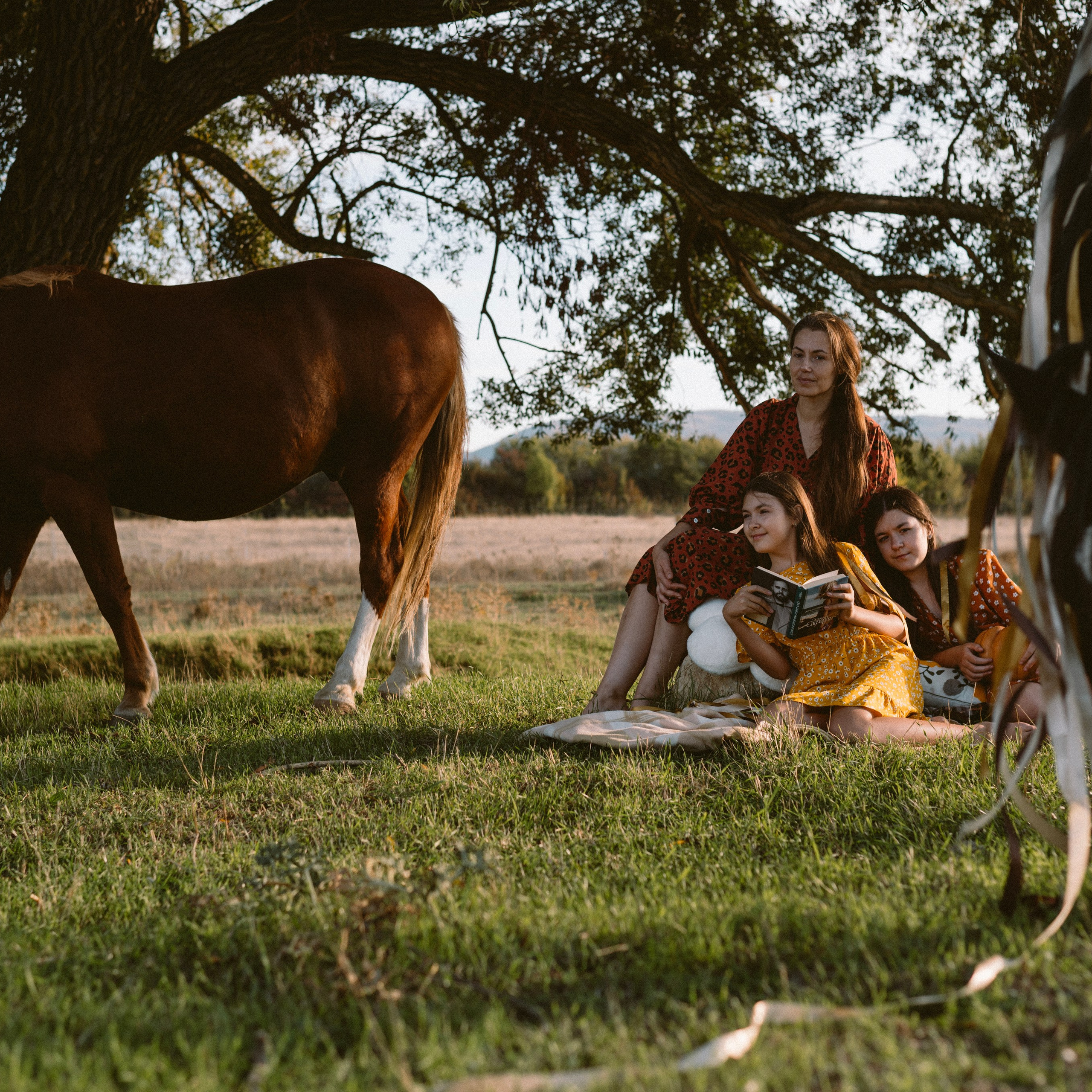 Фотосессии с лошадьми. Свадебный фотограф в Севастополе