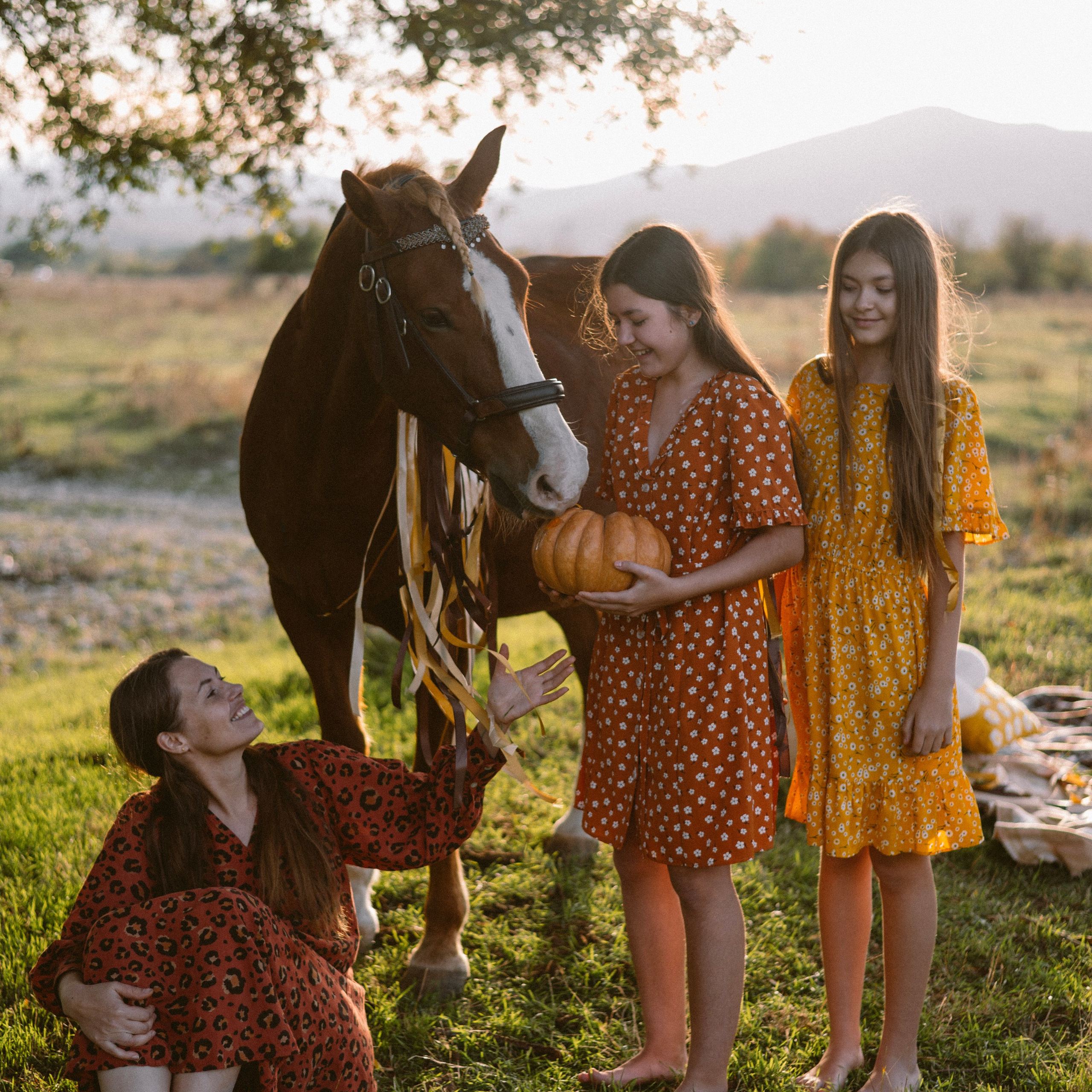 Фотосессии с лошадьми. Свадебный фотограф в Севастополе