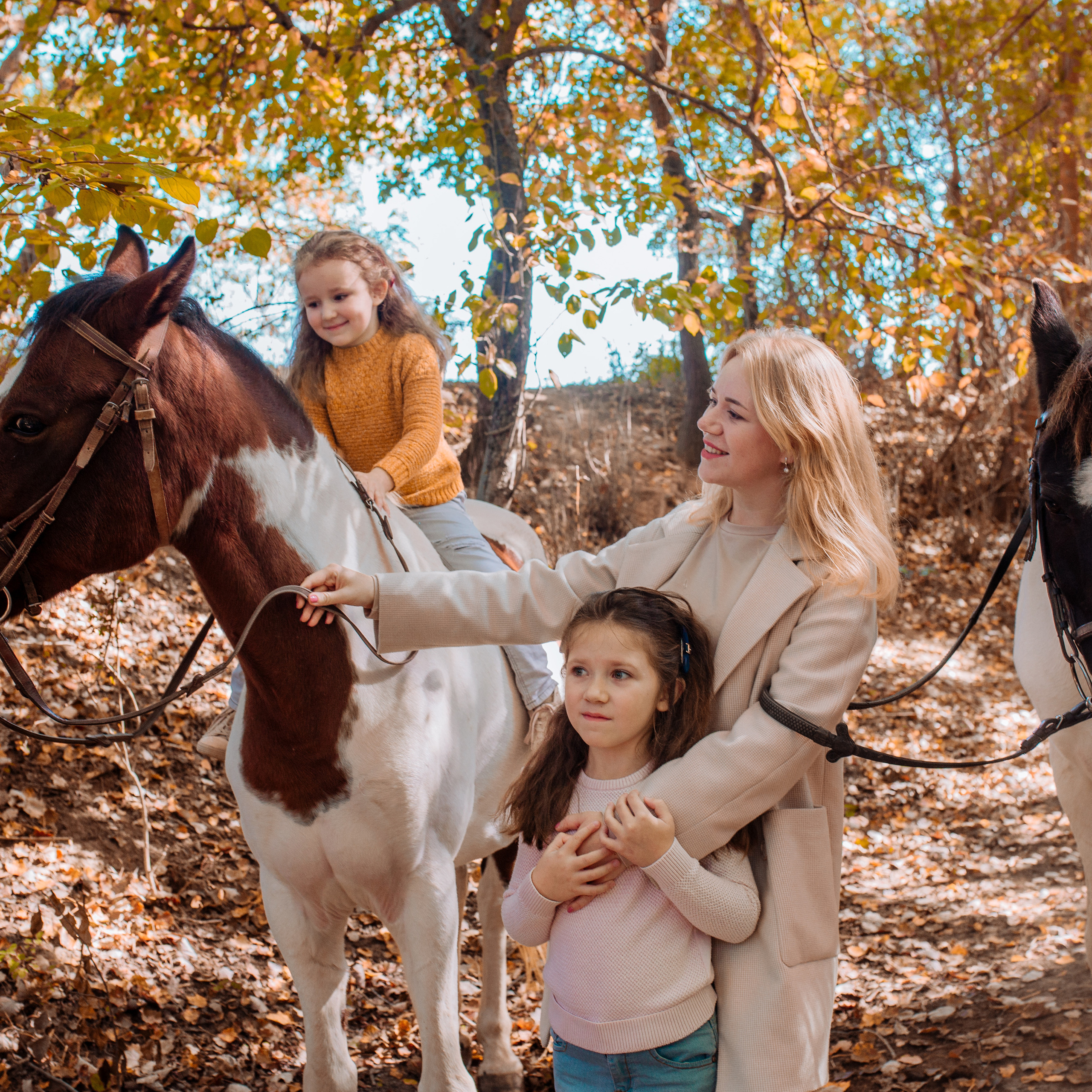 Фотосессии с лошадьми. Свадебный фотограф в Севастополе