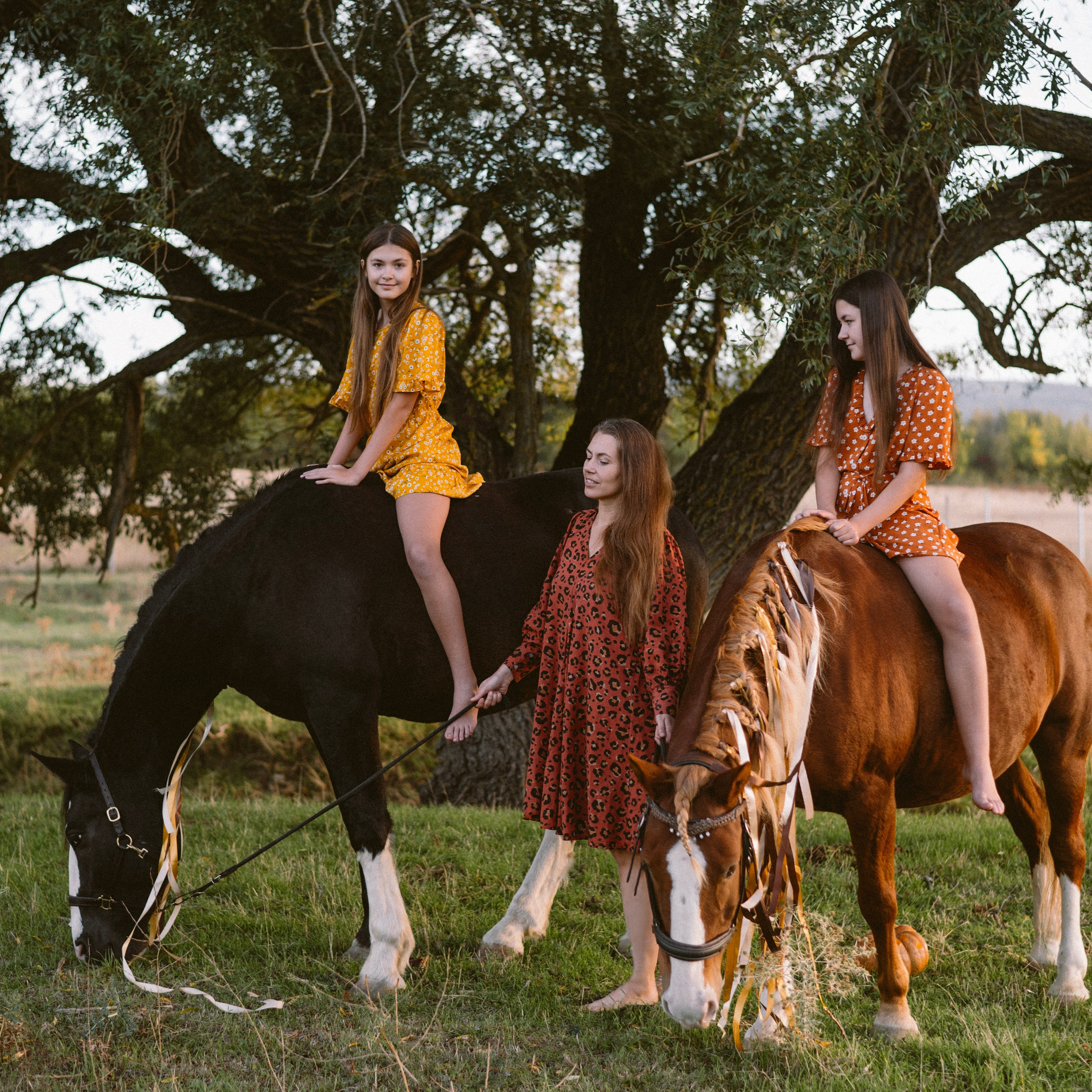 Фотосессии с лошадьми. Свадебный фотограф в Севастополе