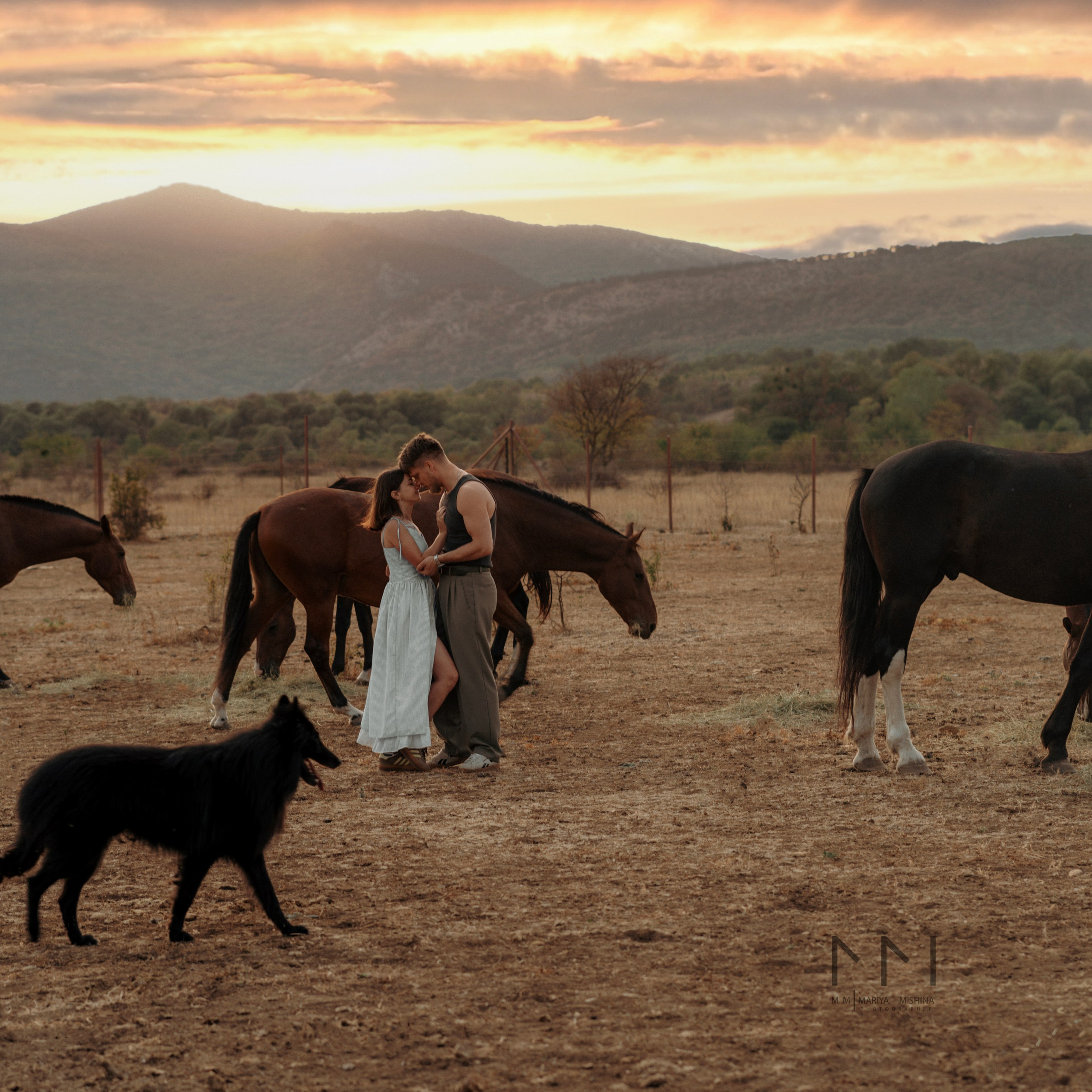 Фотосессии с лошадьми. Свадебный фотограф в Севастополе