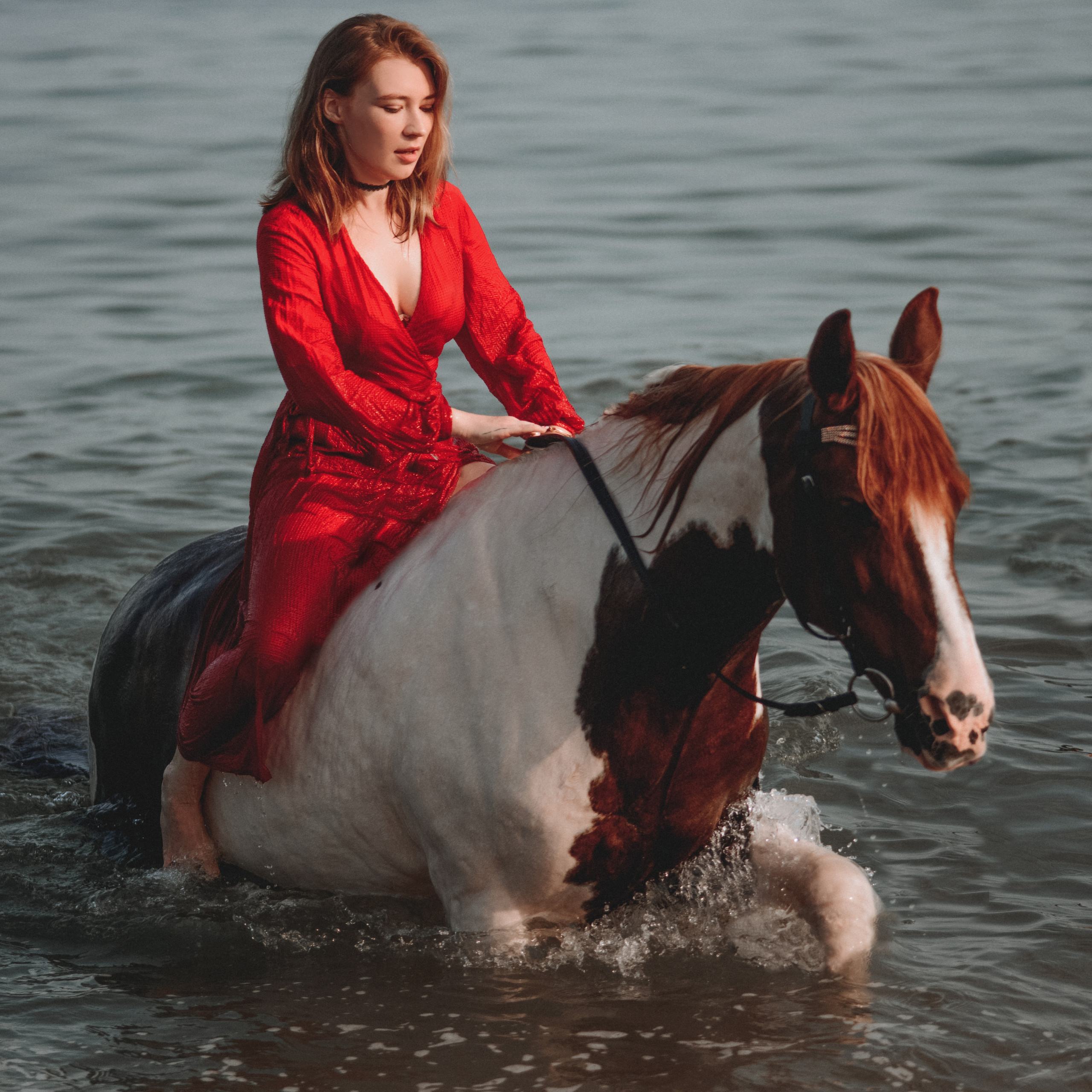 Фотосессии с лошадьми. Свадебный фотограф в Севастополе