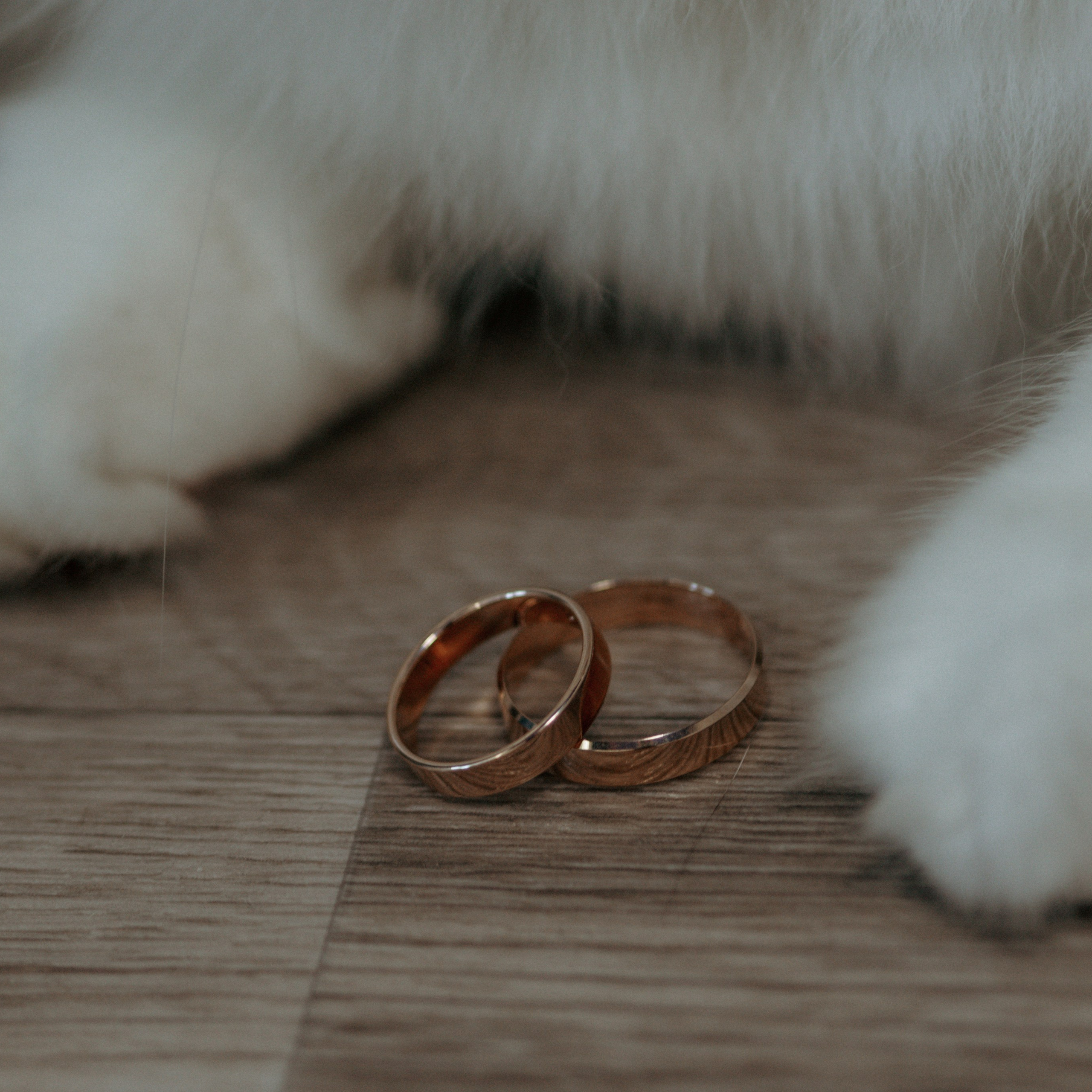 Елизавета и Дмитрий 28.06.2025. Свадебный фотограф в Севастополе