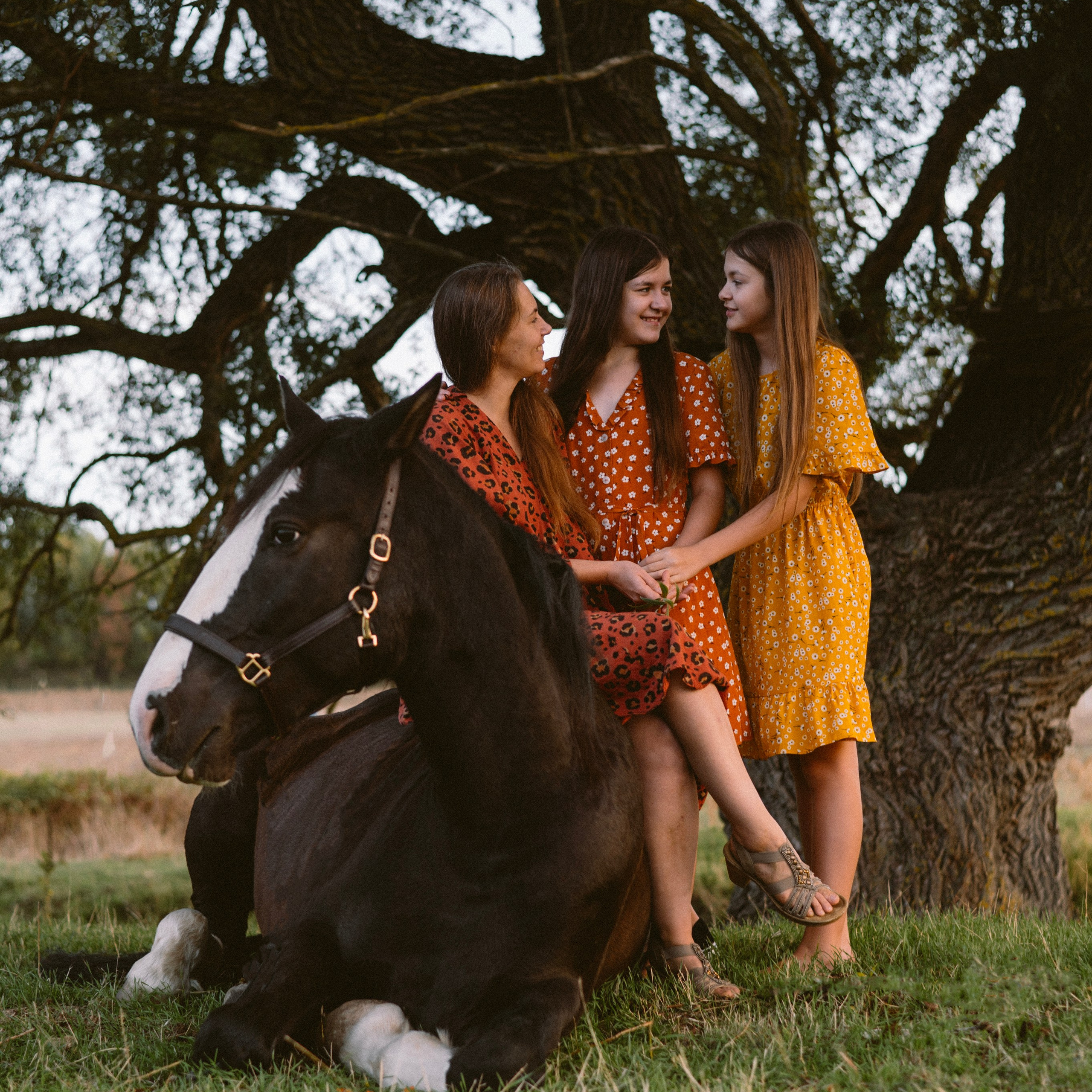 Фотосессии с лошадьми. Свадебный фотограф в Севастополе