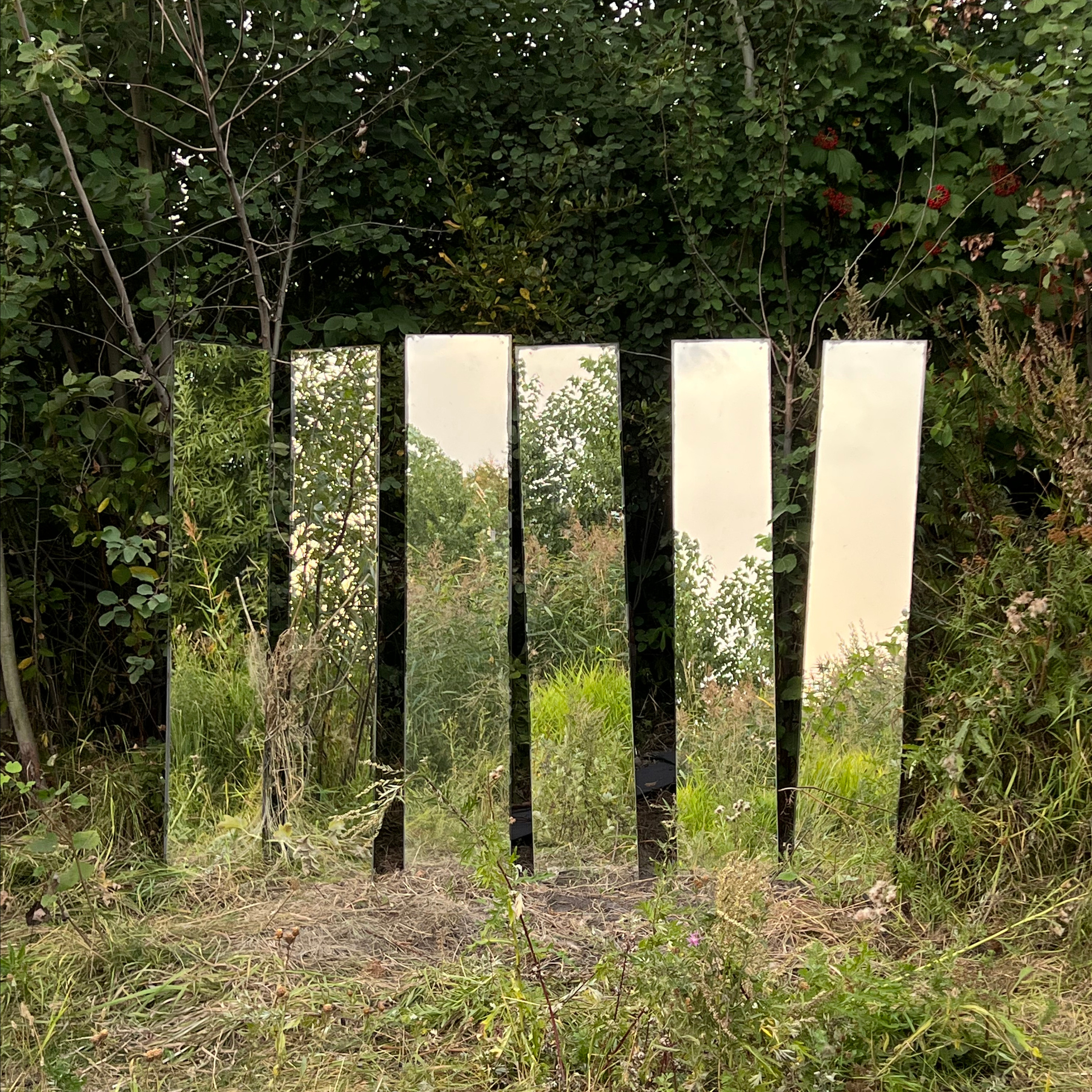 What can you say about me?