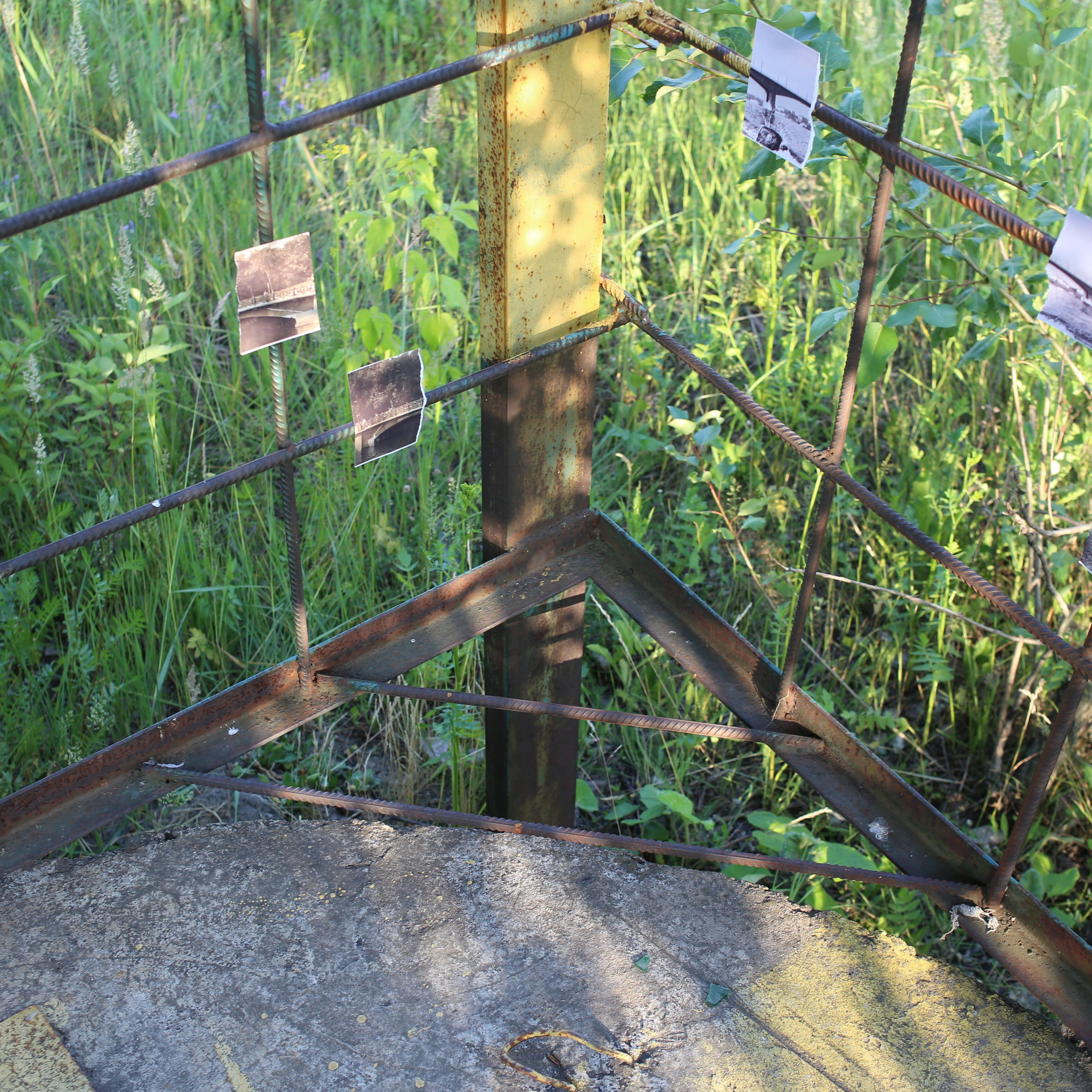 Митоз. Mikhail Kurganov