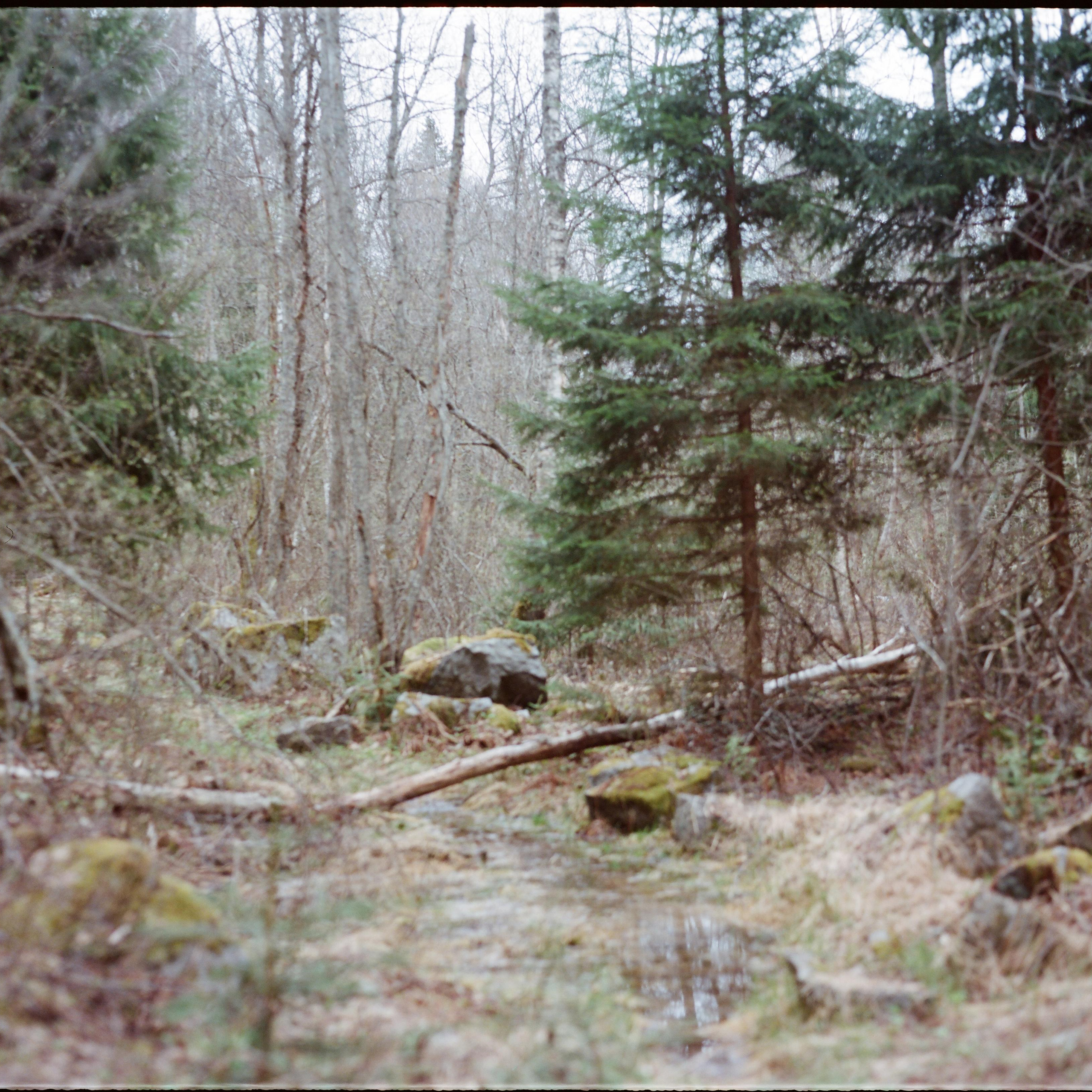 Topography of cruelty. Mikhail Kurganov