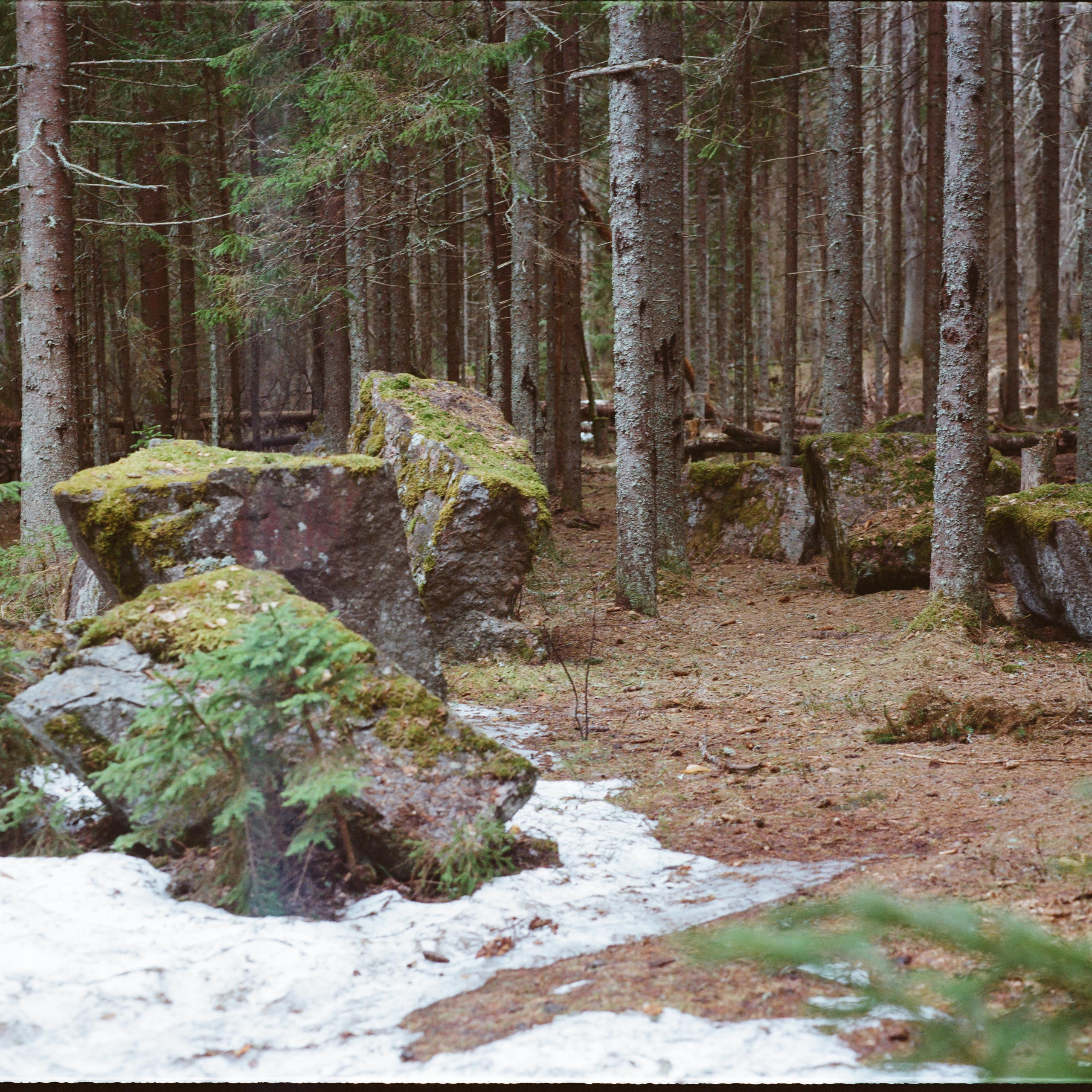 Topography of cruelty. Mikhail Kurganov