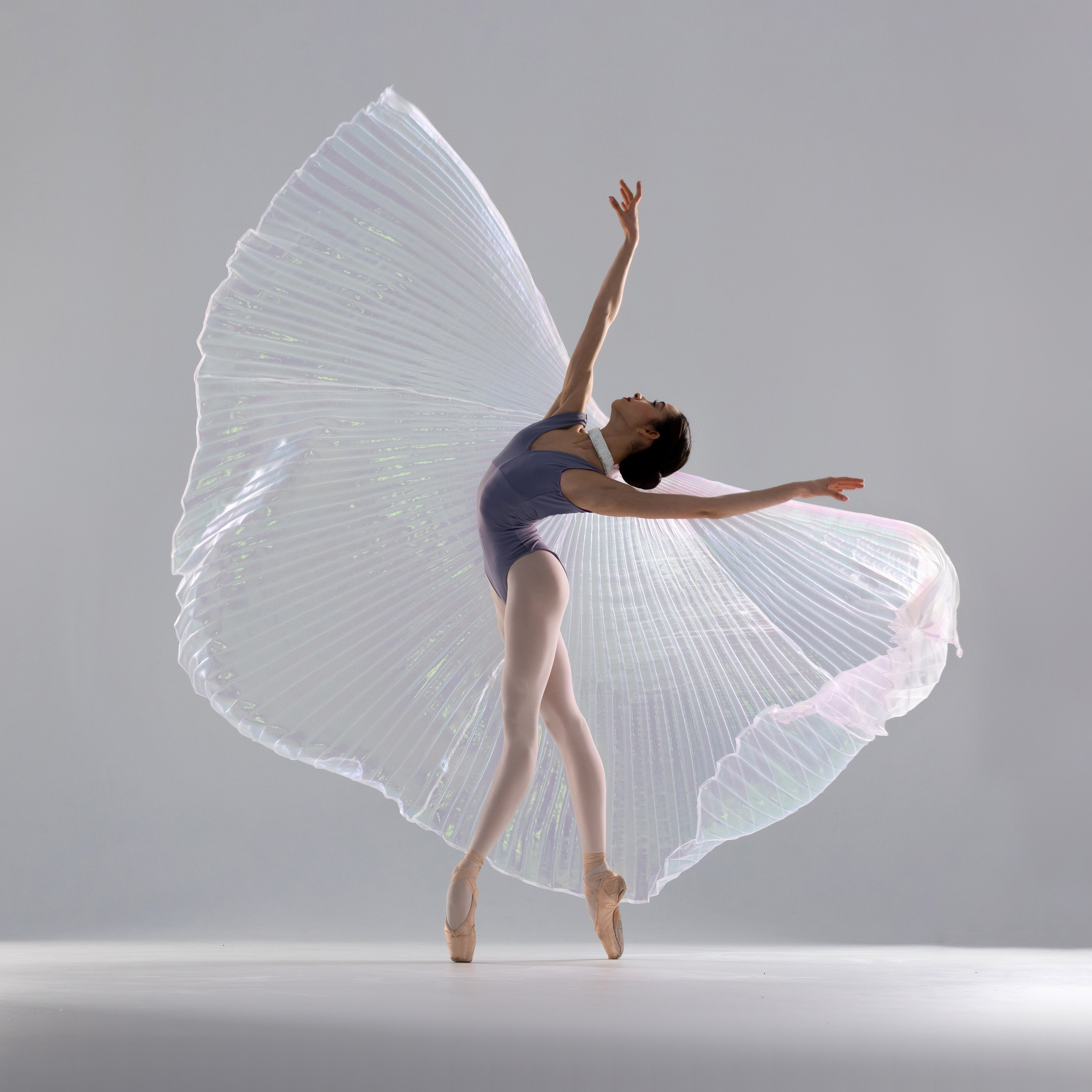 Крылья перламутровые