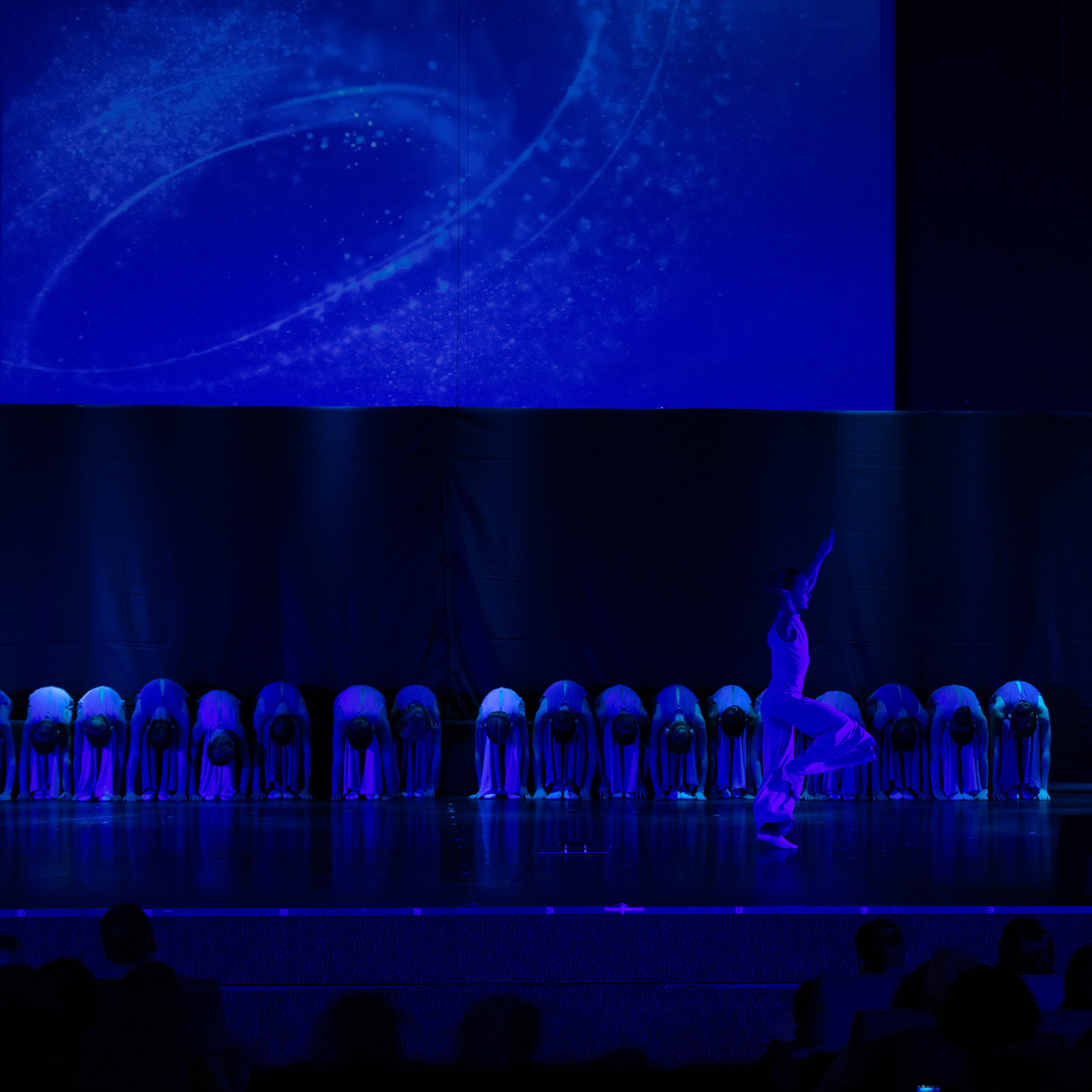 Балетный фотограф Алина Ханько. Отзывы. Балетный фотограф Алина Ханько — Душа Балета