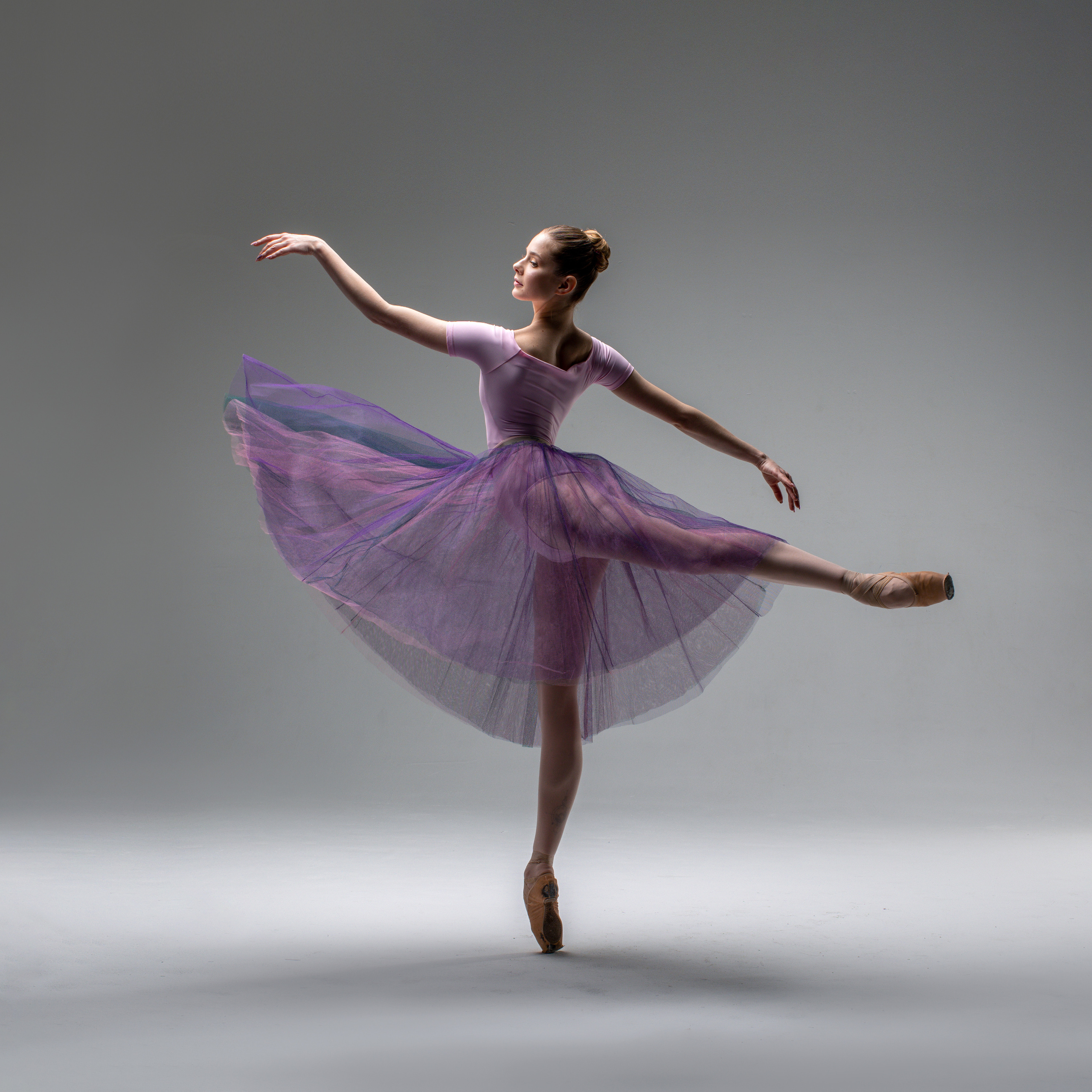 Шопенка розовая «Zidans»