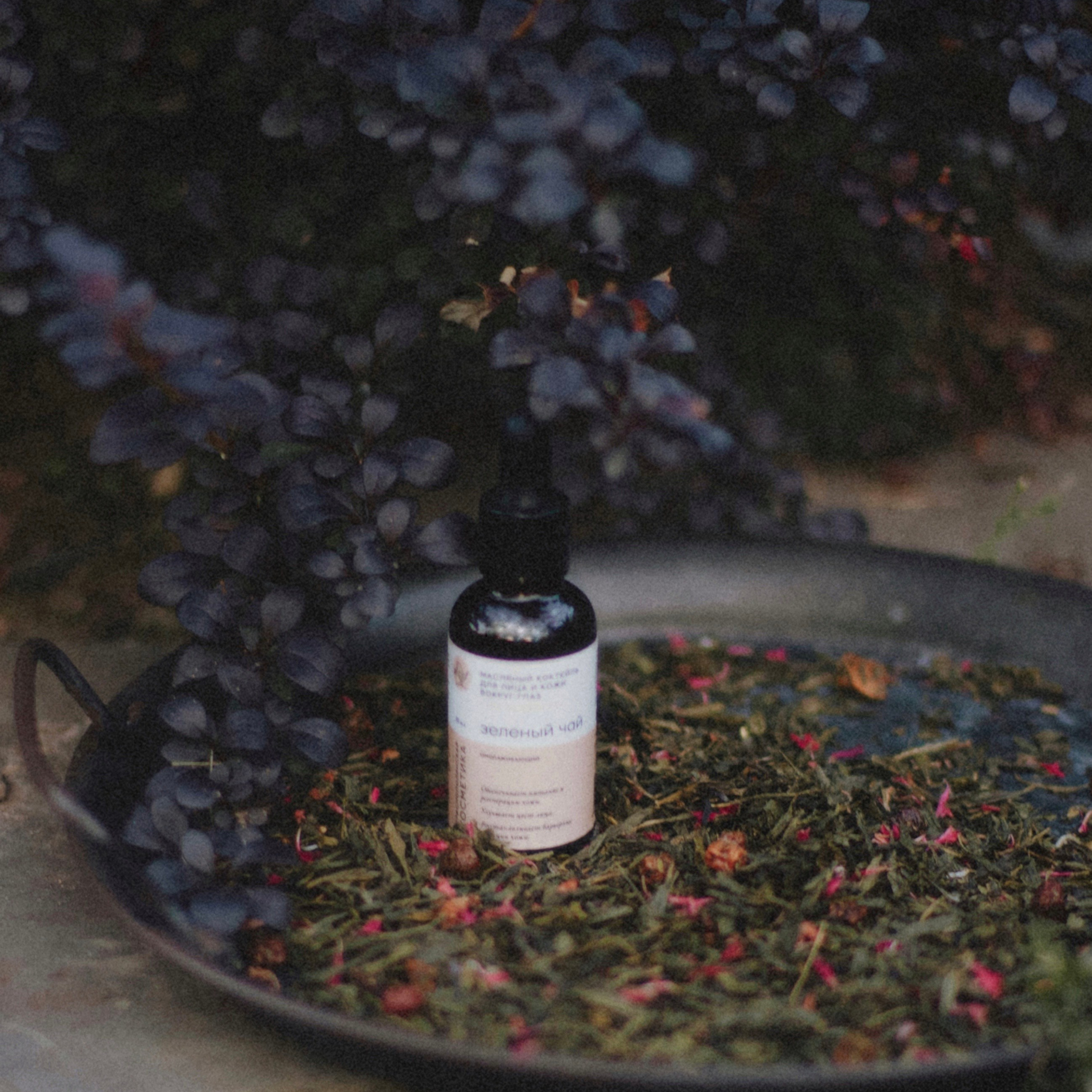 / Предметная съёмка /