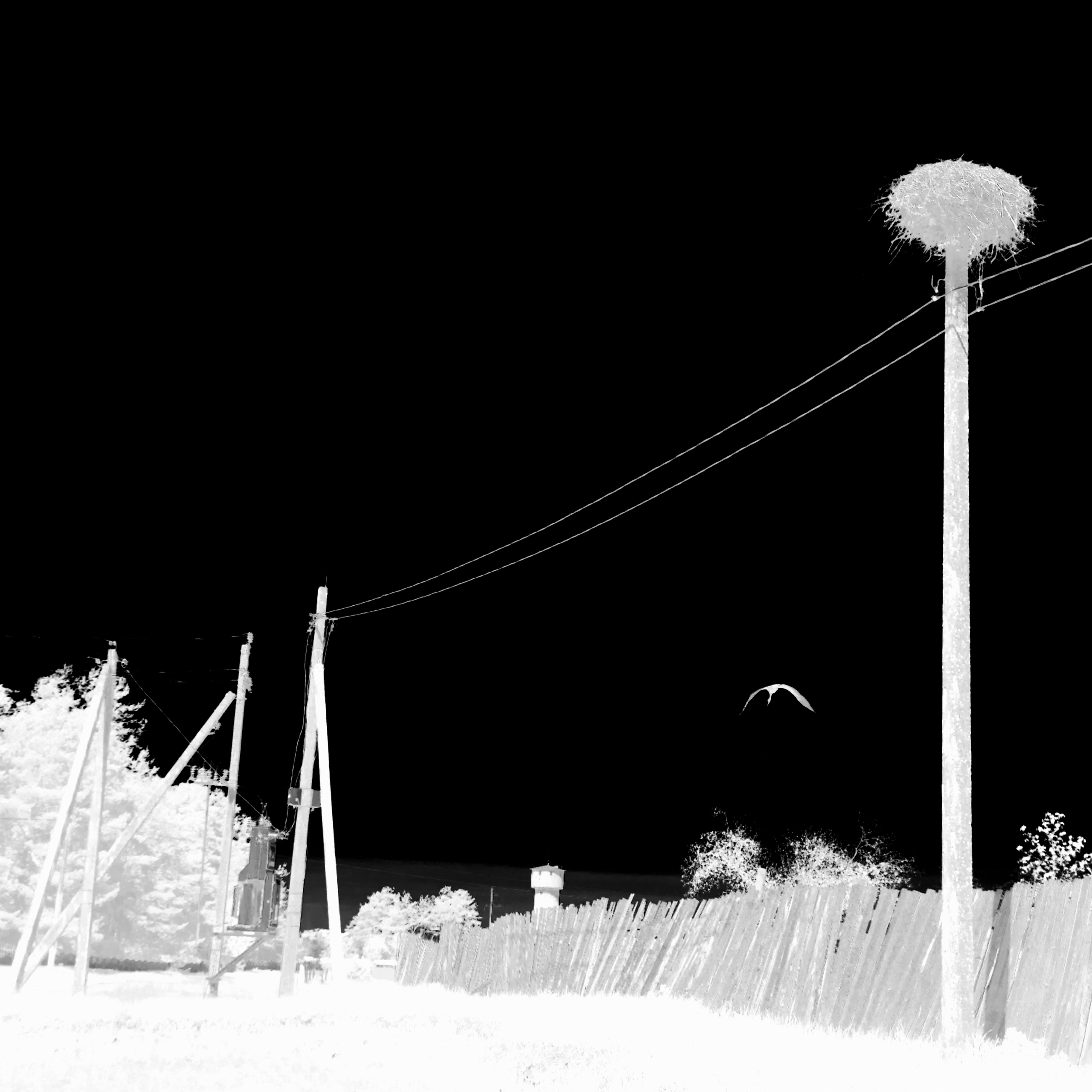 ЧБ  пейзажи (BnW landscape)