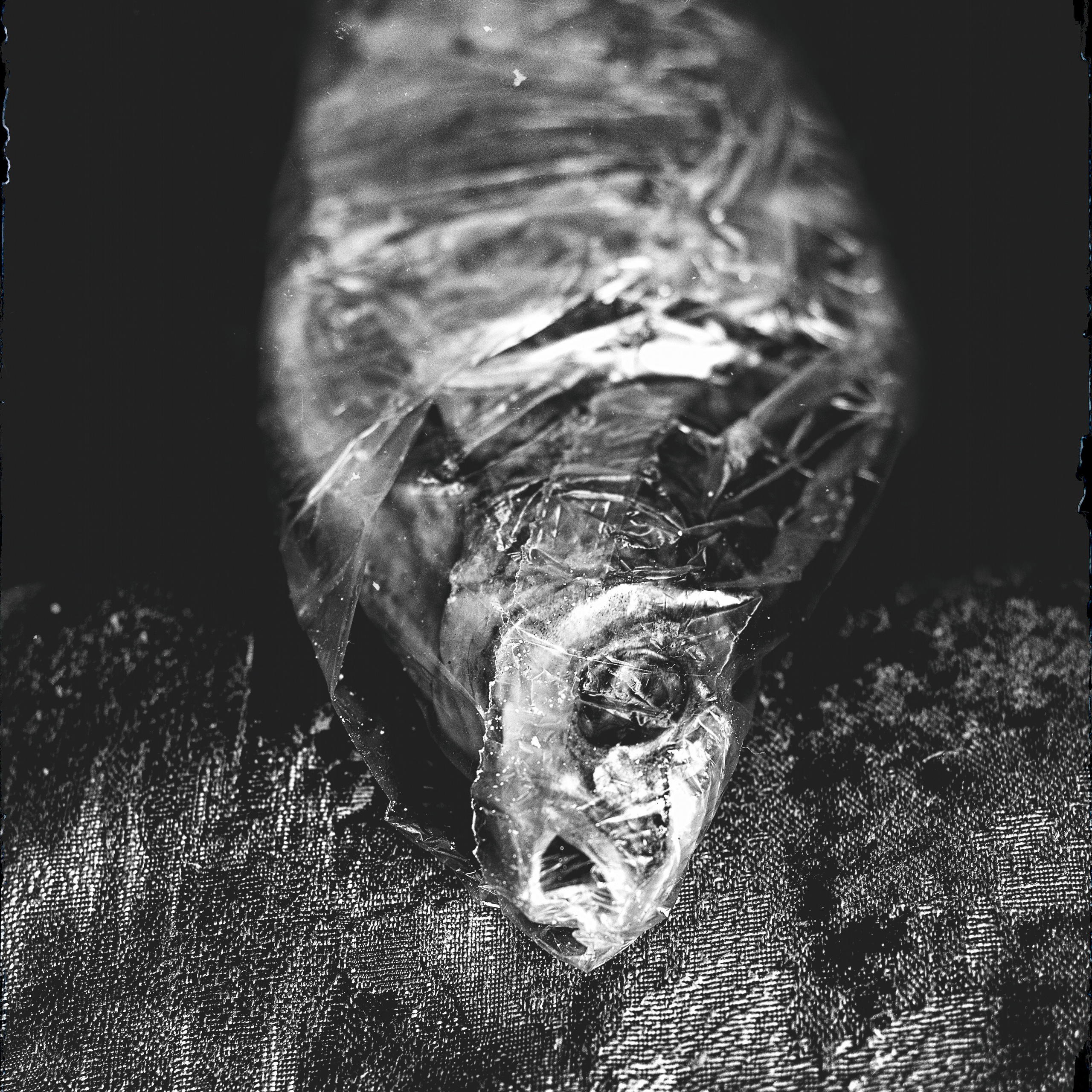 Surrealism, minimalism photo