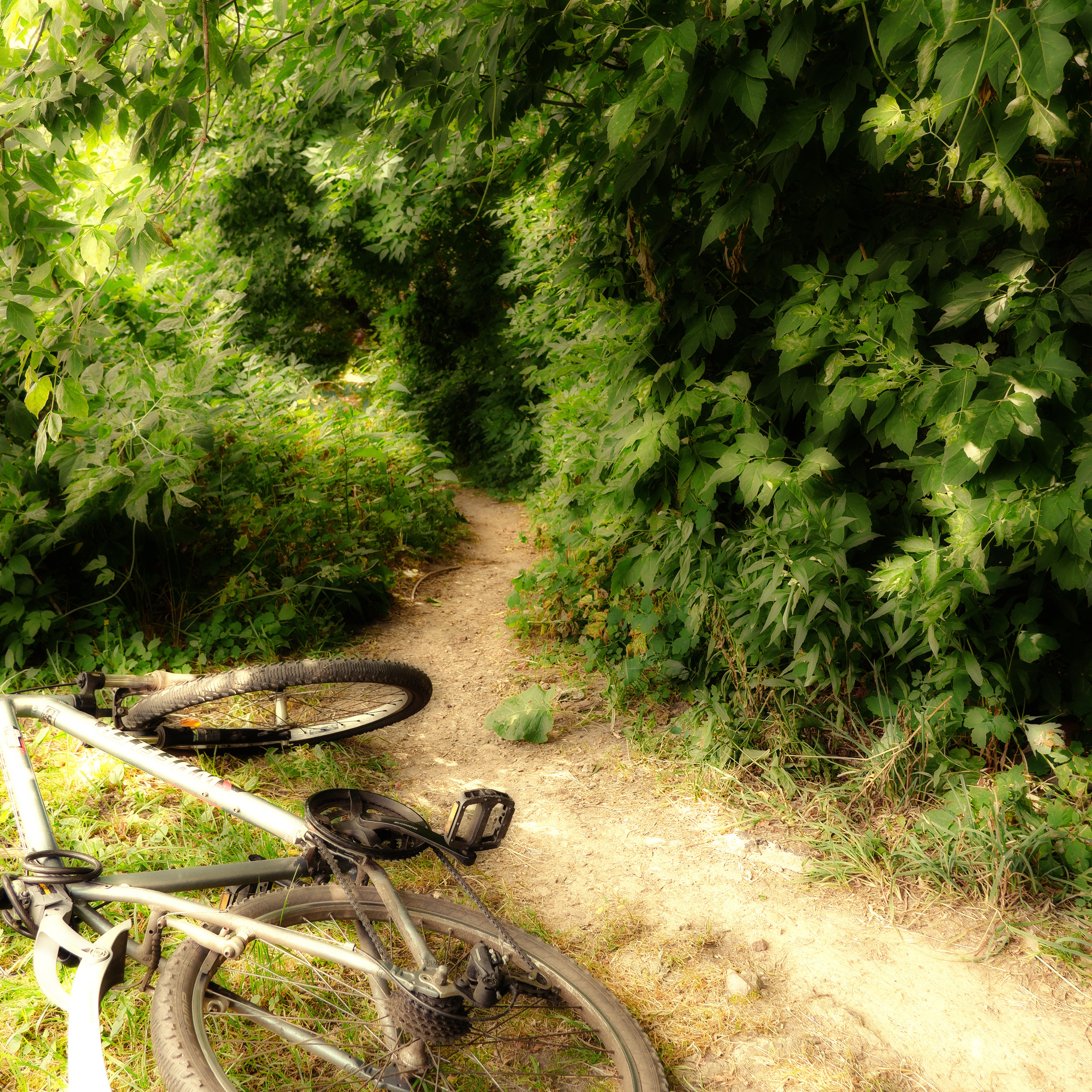 Фото отчет с вело прогулки клиента.