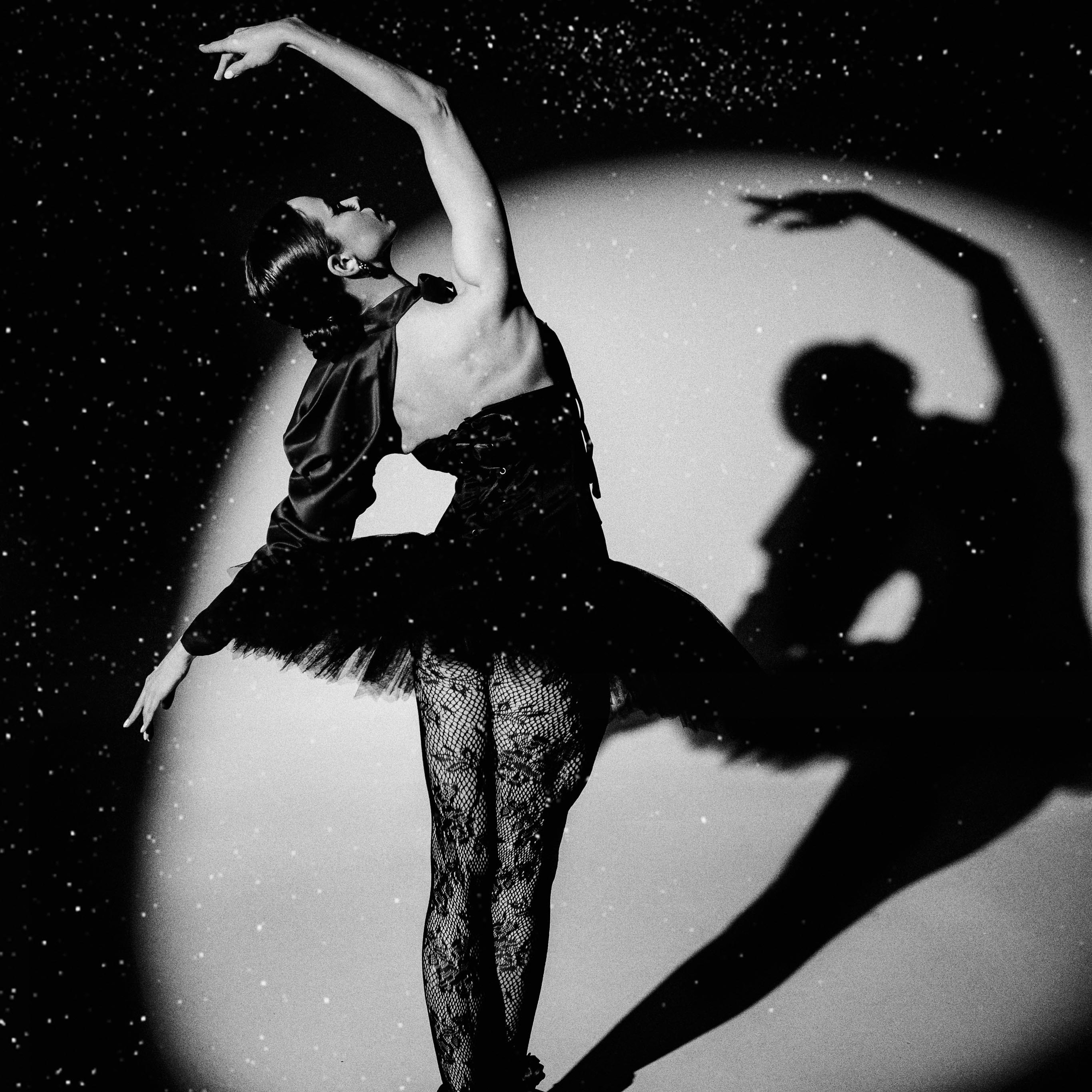 Снежный балет. Черный лебедь