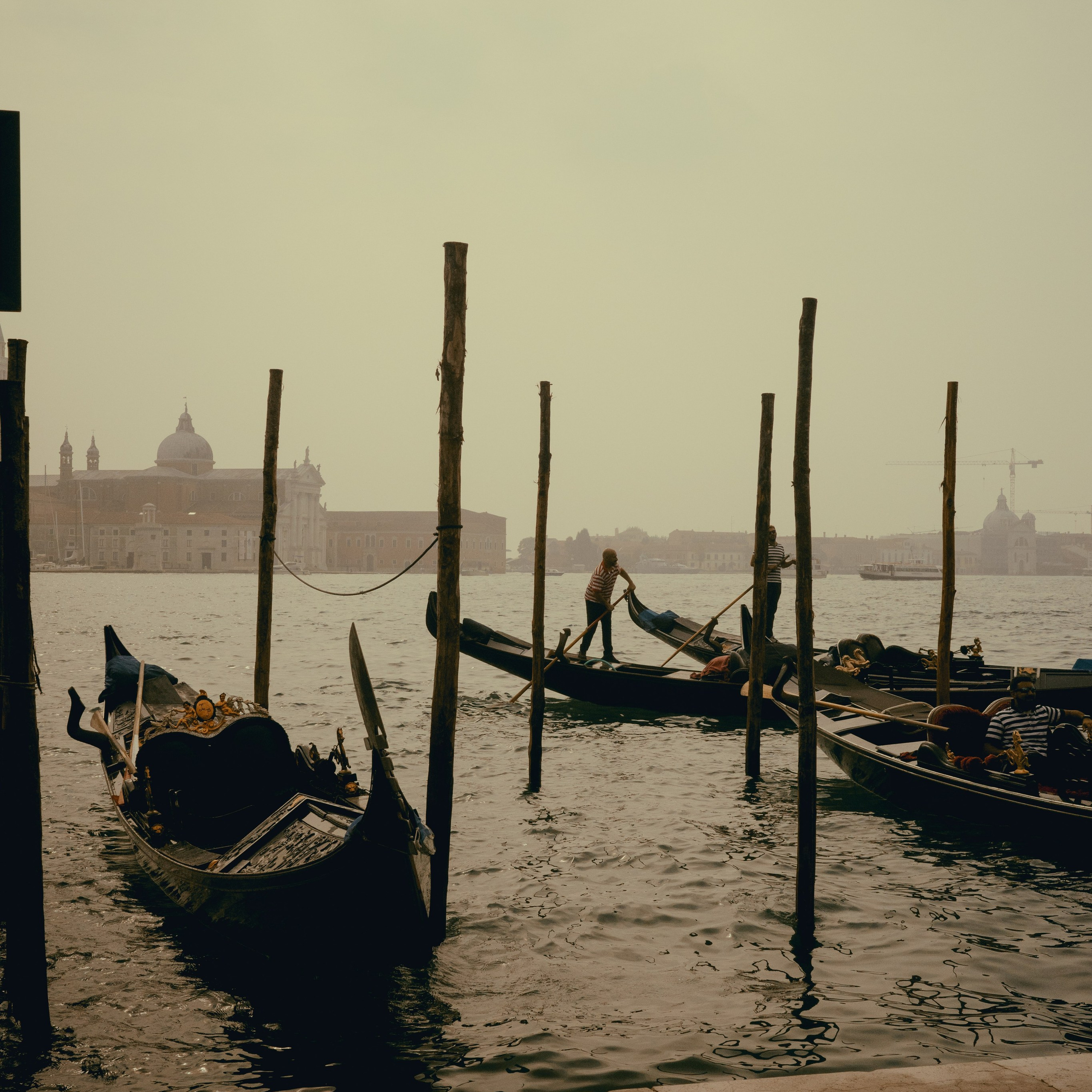 Reviews. ANNA KORZOVA