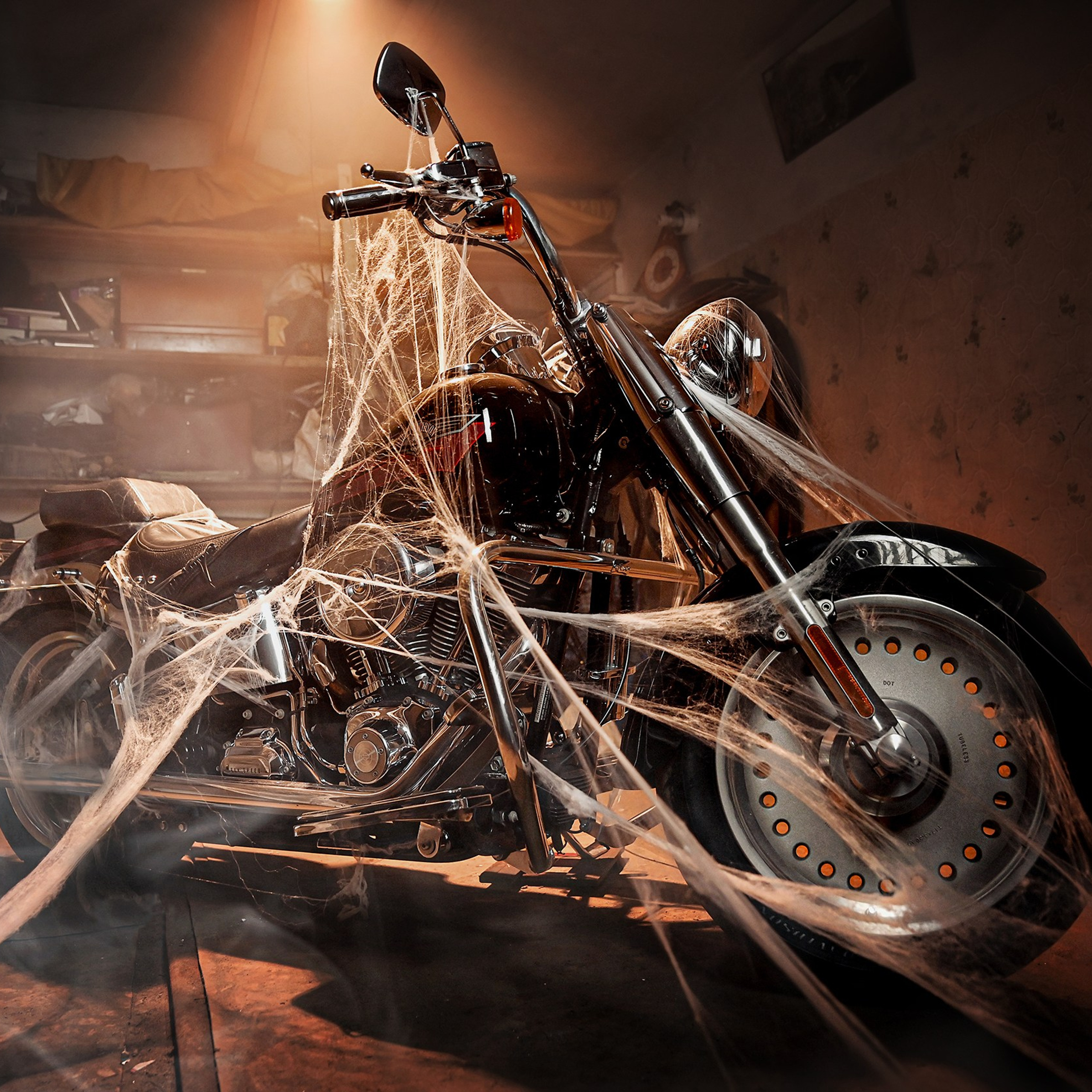 Индивидуальная фотосессия. Татьяна Кам Арт - фотограф Ангарска