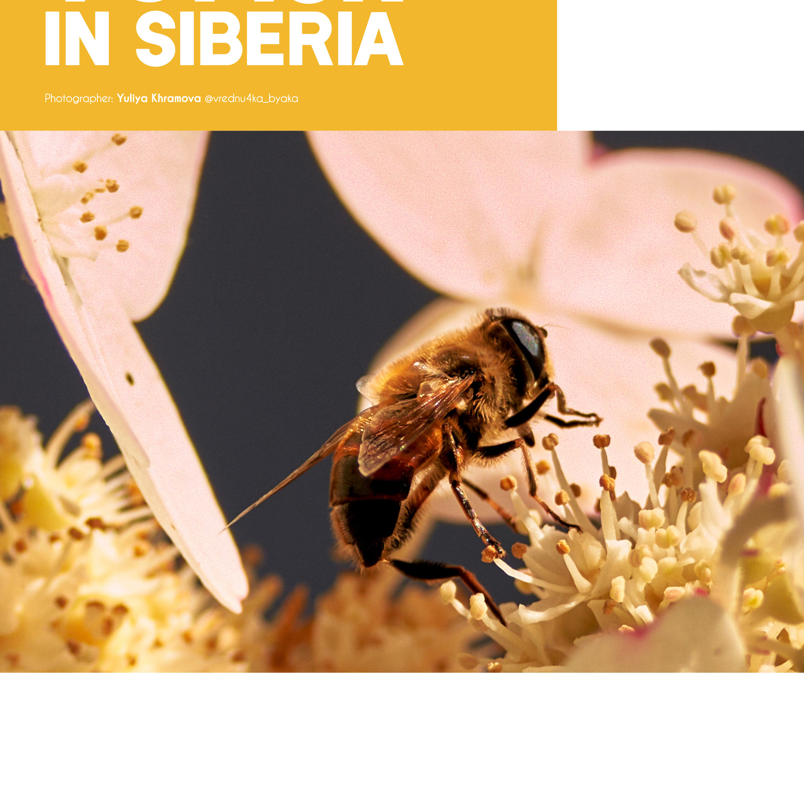 Томск в Сибири