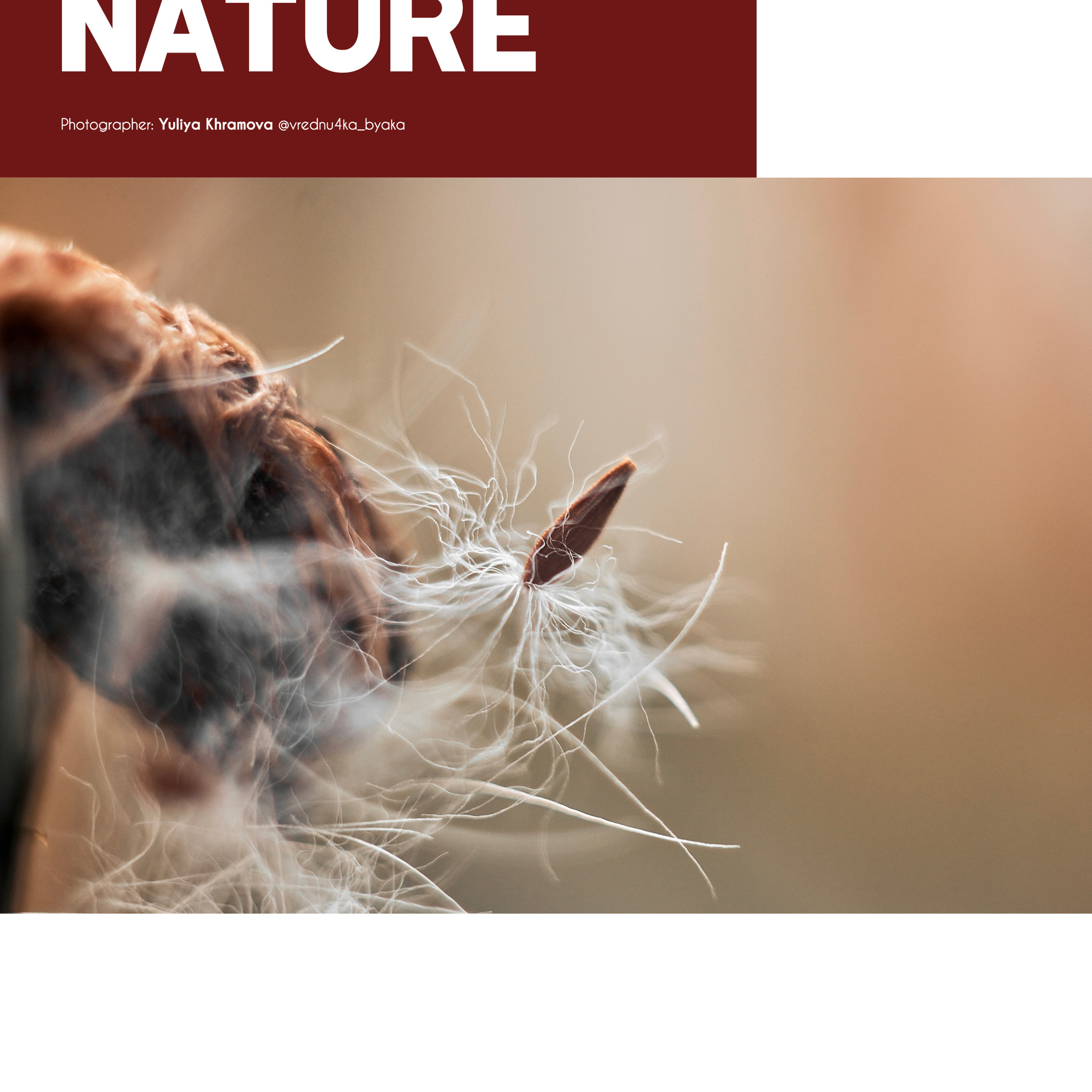 Такая разная природа