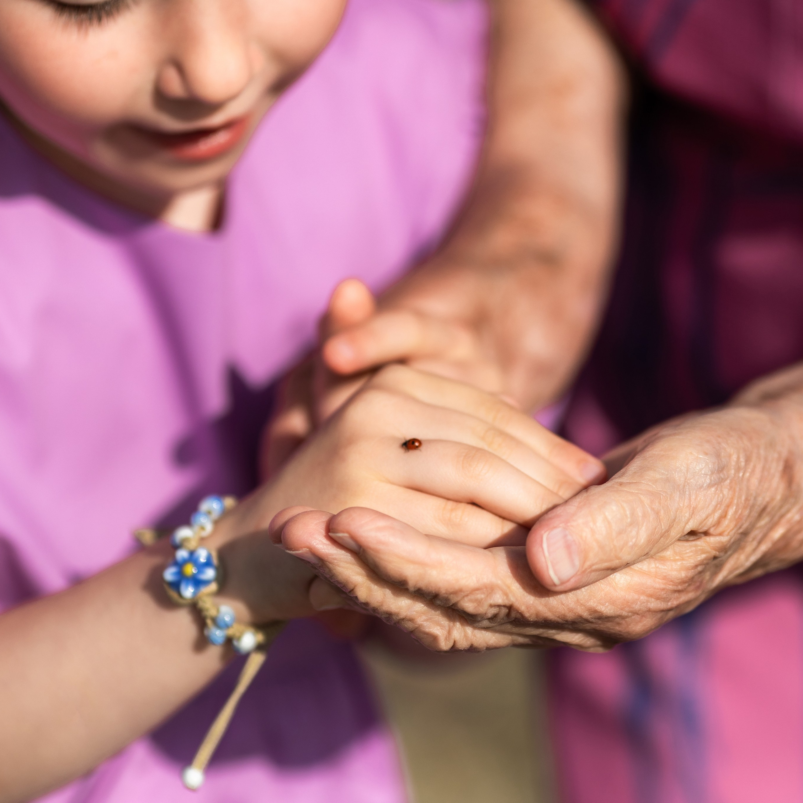 4 ПОКОЛЕНИЯ