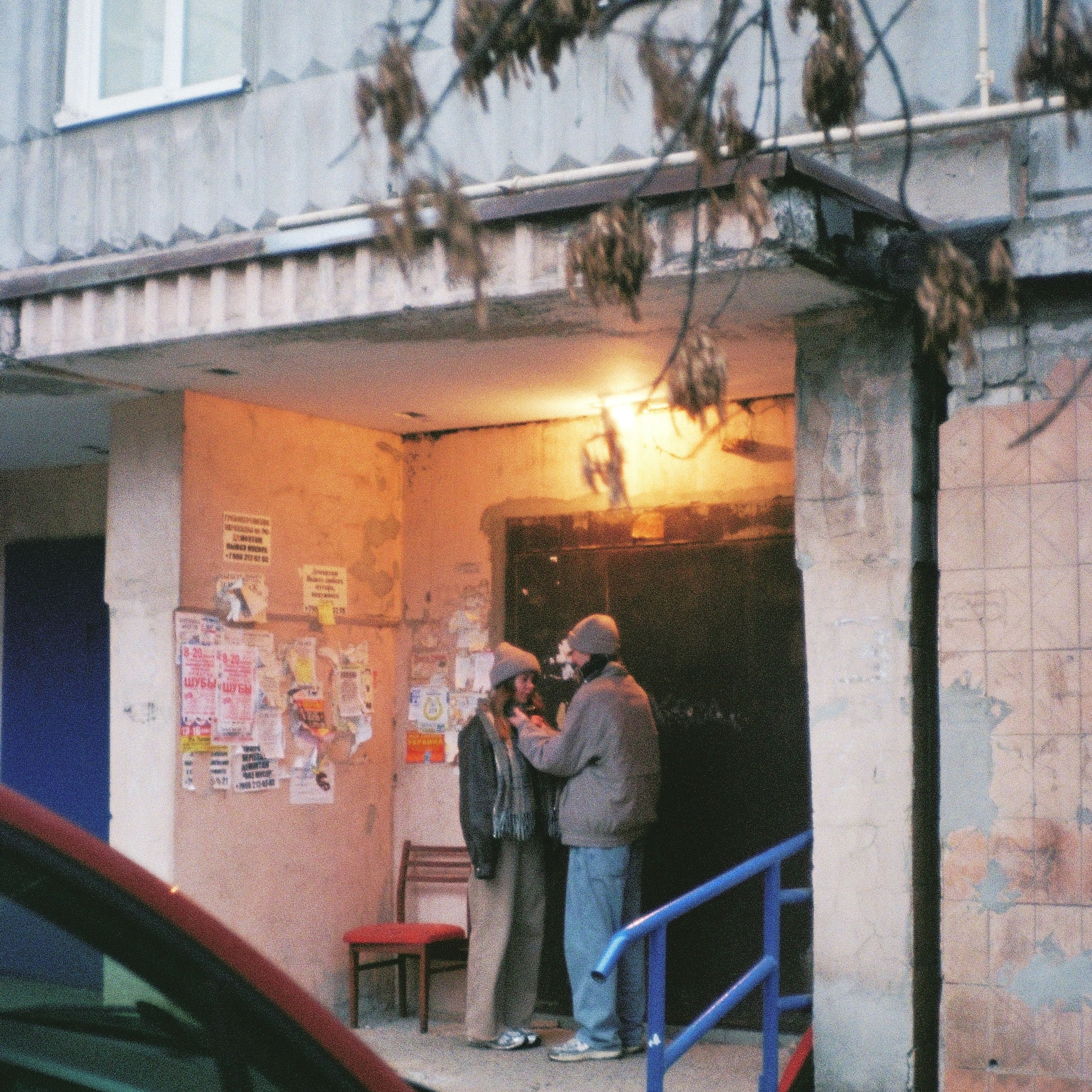 Юности нежность