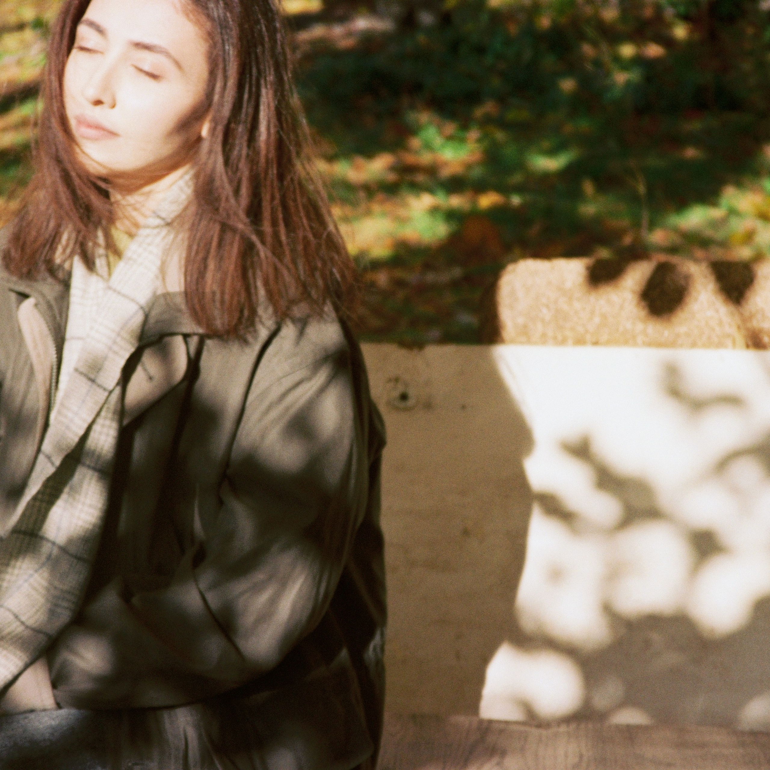 Аромат осеннего света