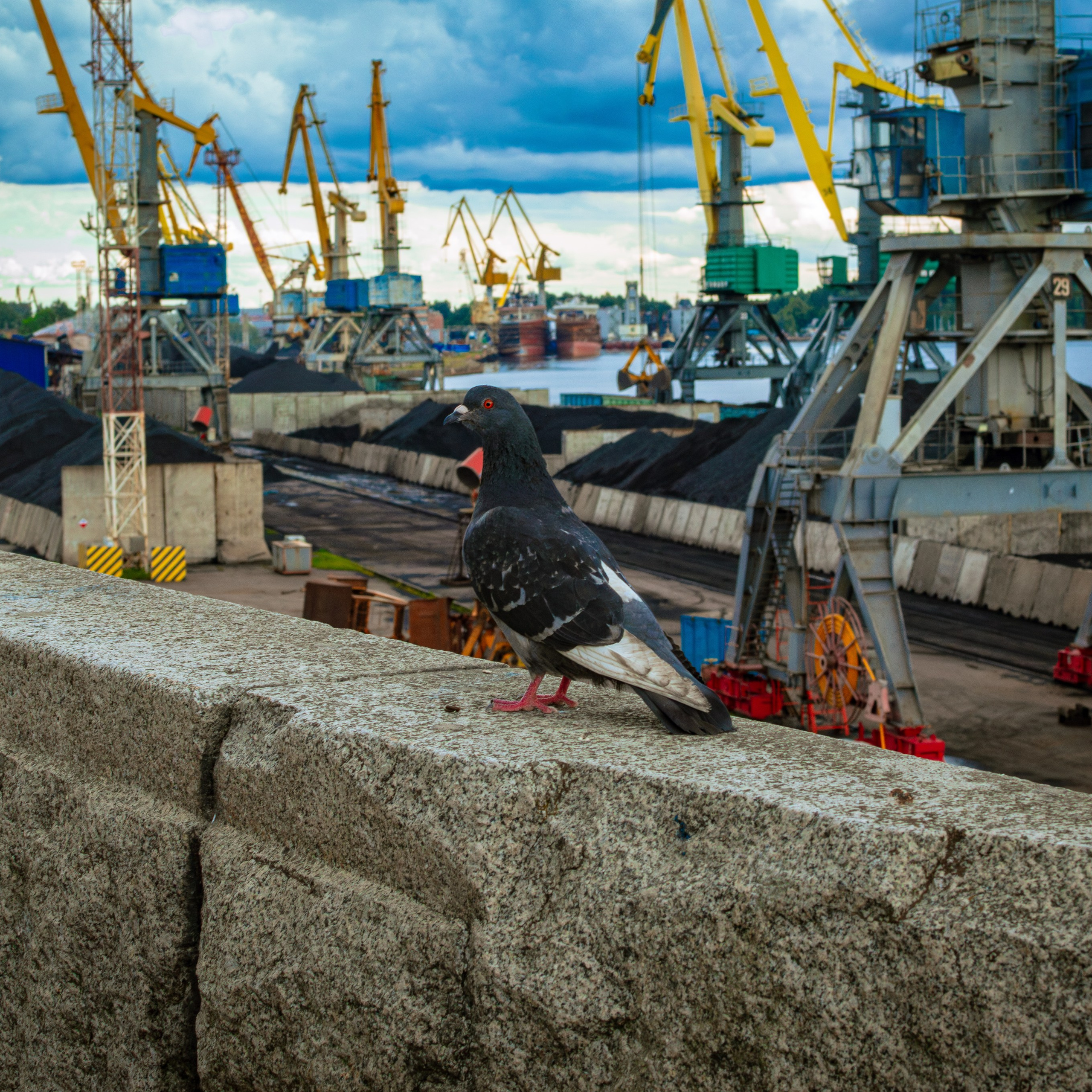 Ярослав. Фотограф Артемий Моругов | mbb