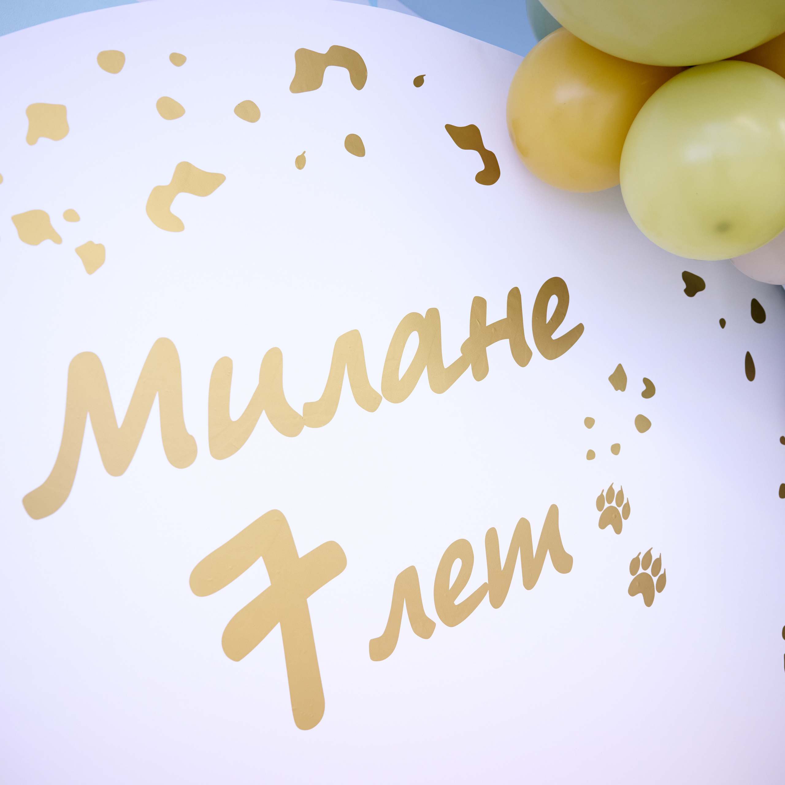 Отзывы. Репортажный фотограф в Самаре Артем Арсентьев