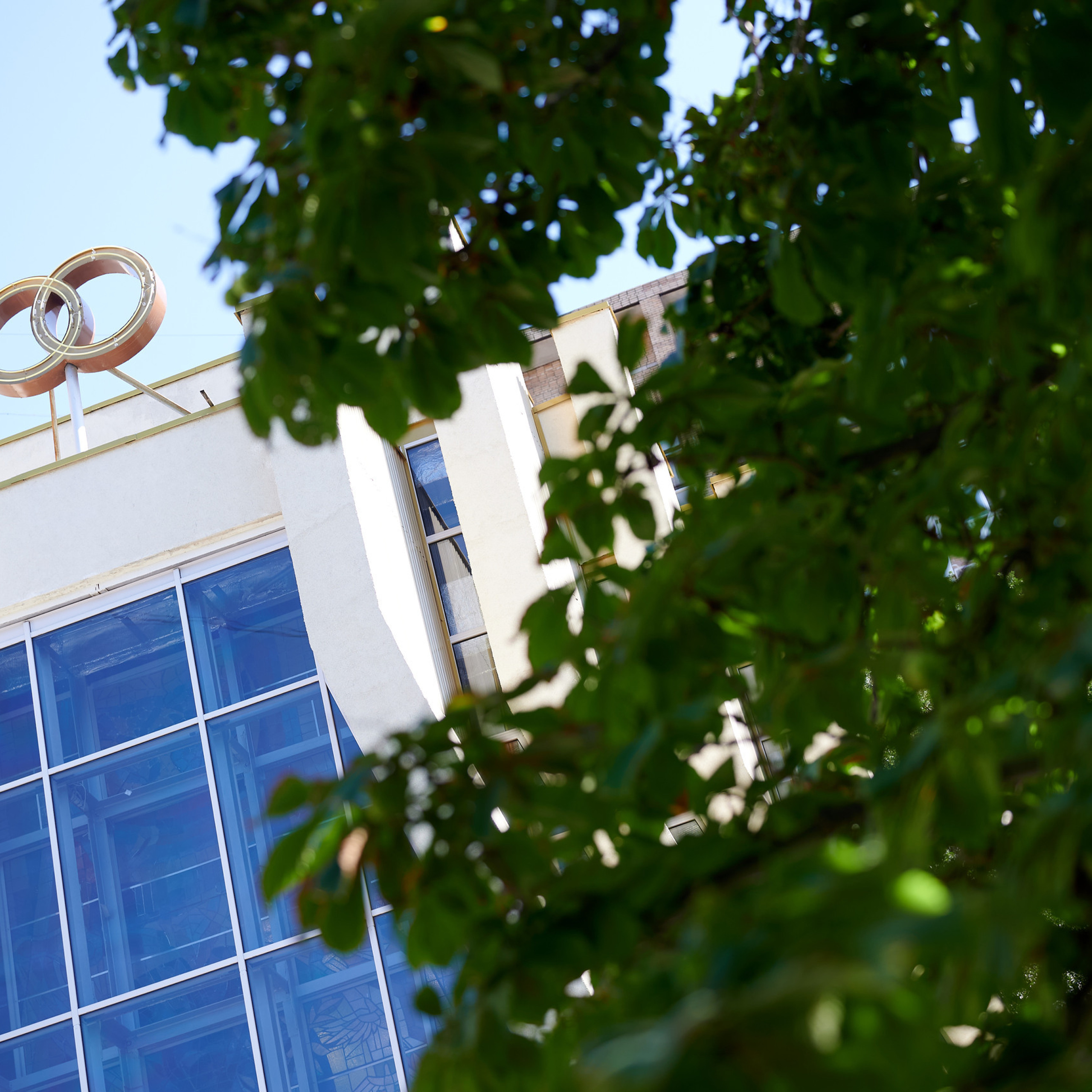 Отзывы. Репортажный фотограф в Самаре Артем Арсентьев