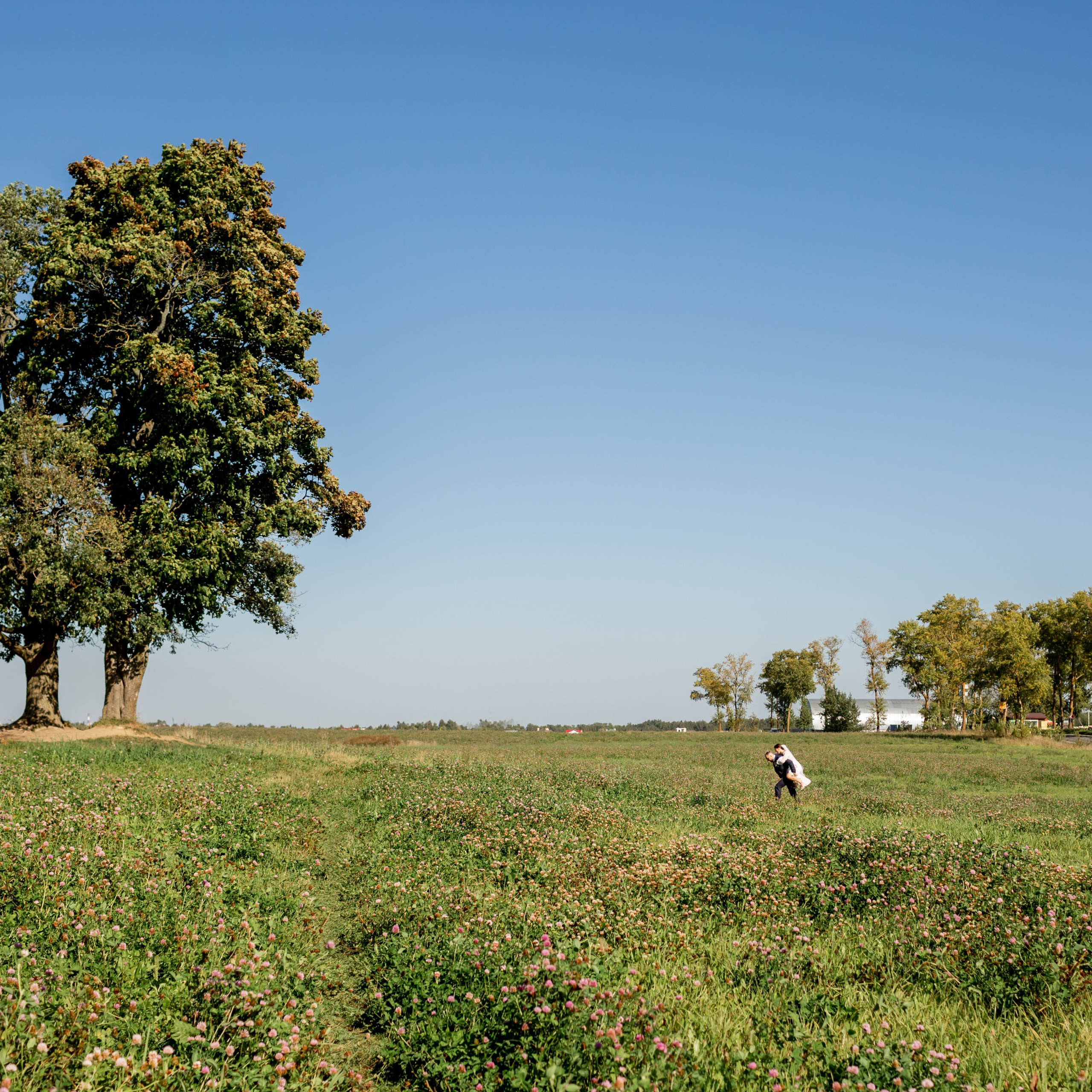 Саша и Андрей. Поля и пески