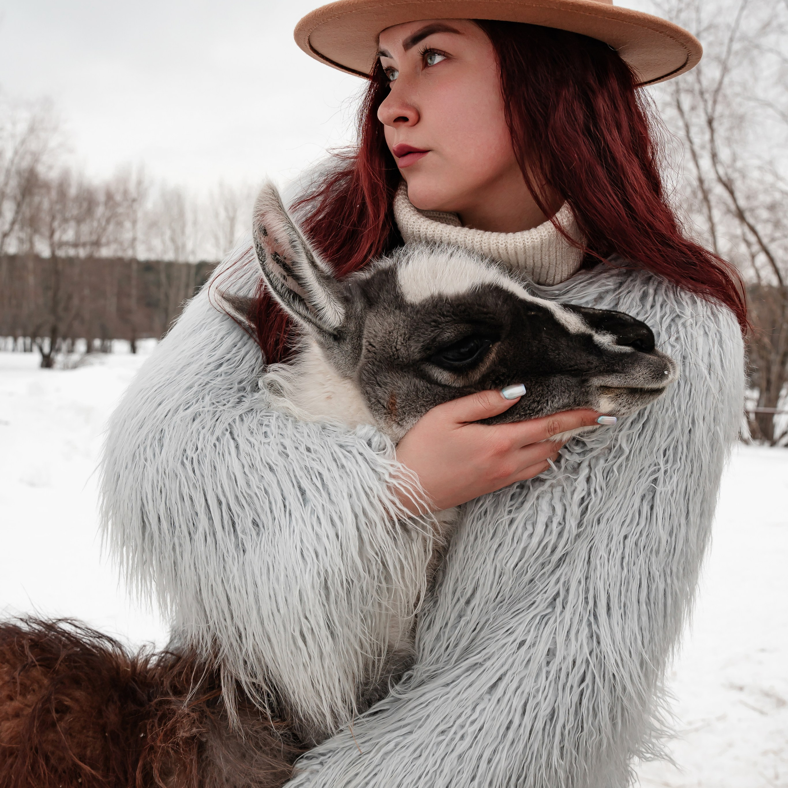 Конное пространство