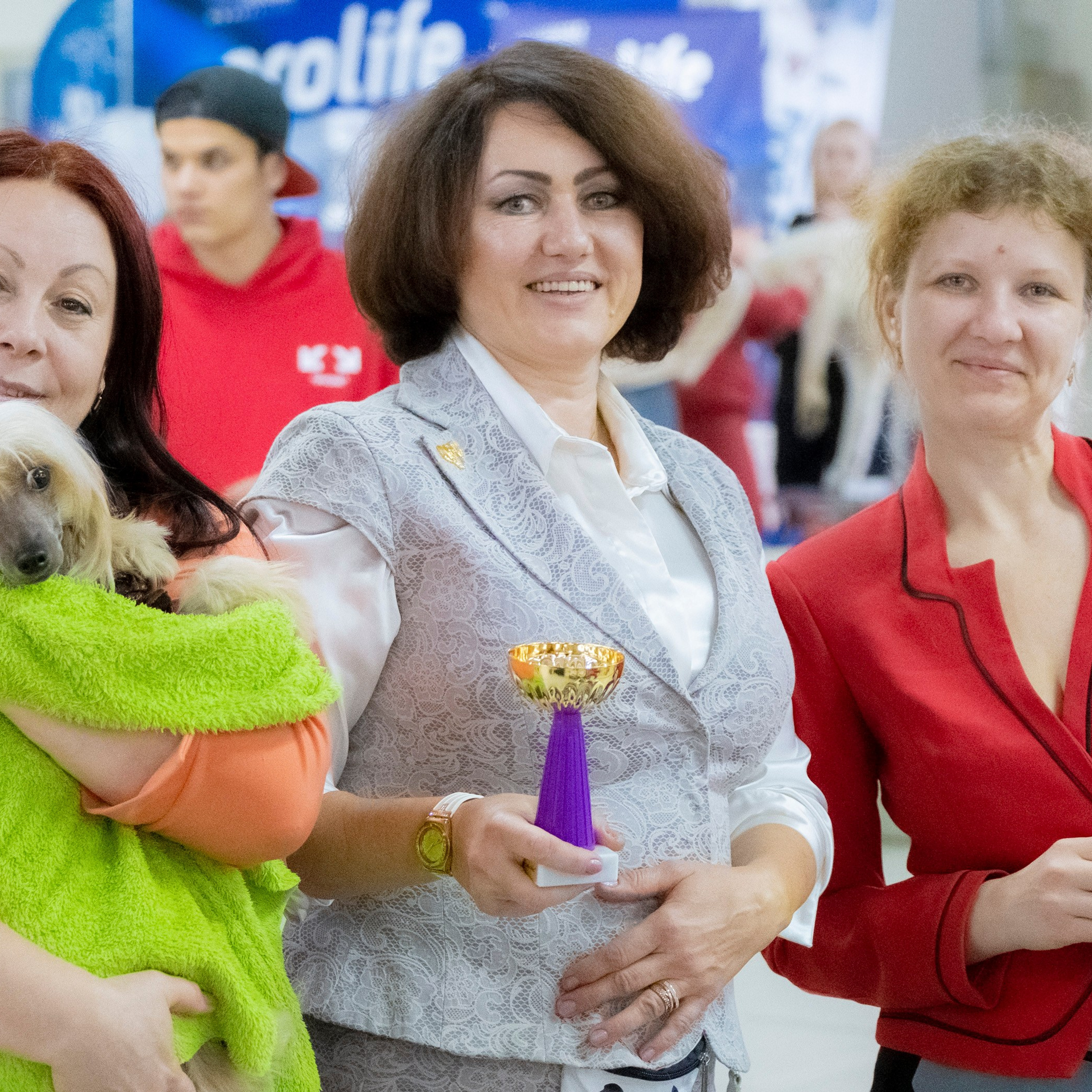 Poale Ell Cooper — Junior Champion of Russia. Chinese Crested Dog Kennel Poale Ell