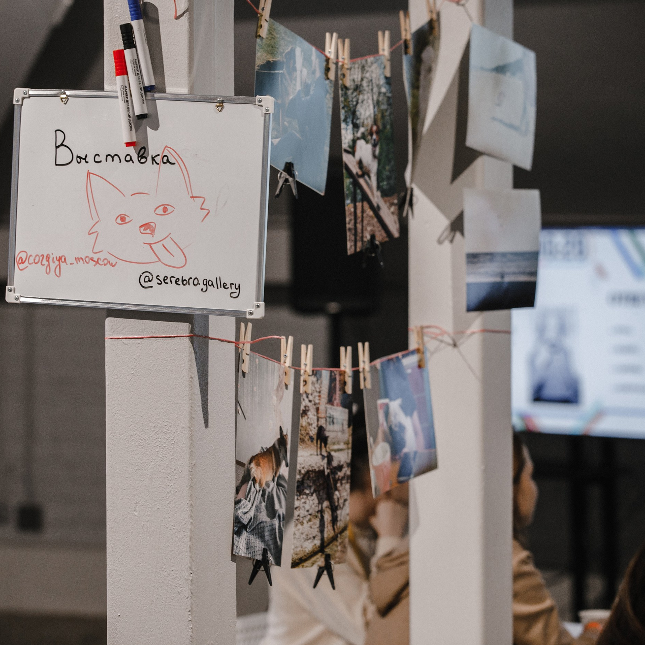 17.10.2021 // Дог-френдли день в Артплей