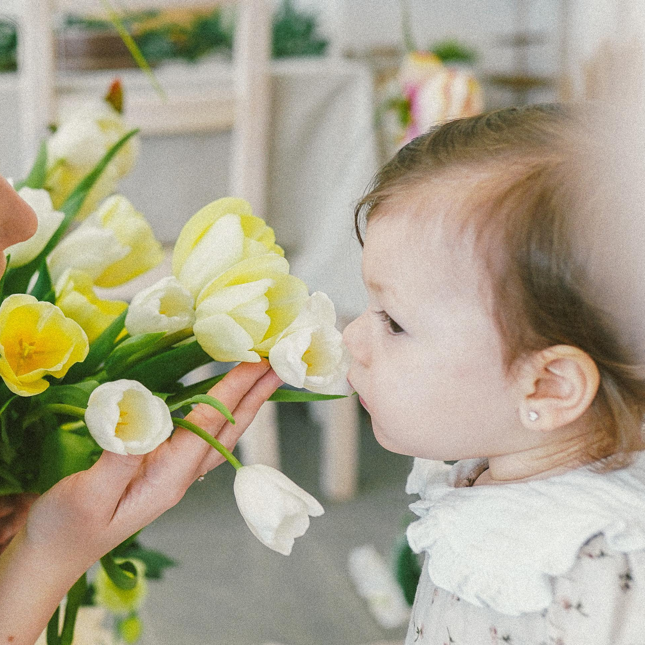 Отзывы. Семейный фотограф из Вологды, там, где резной палисад. Снимаю про любо