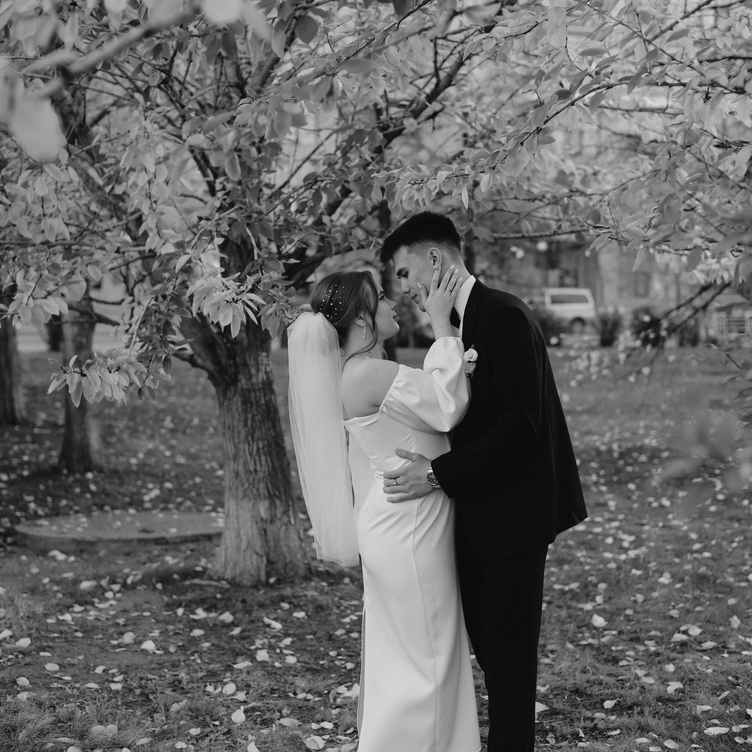 Яна & Николай | 2023 г. Фотограф Ялуторовск/Тюмень Колесникова Анна