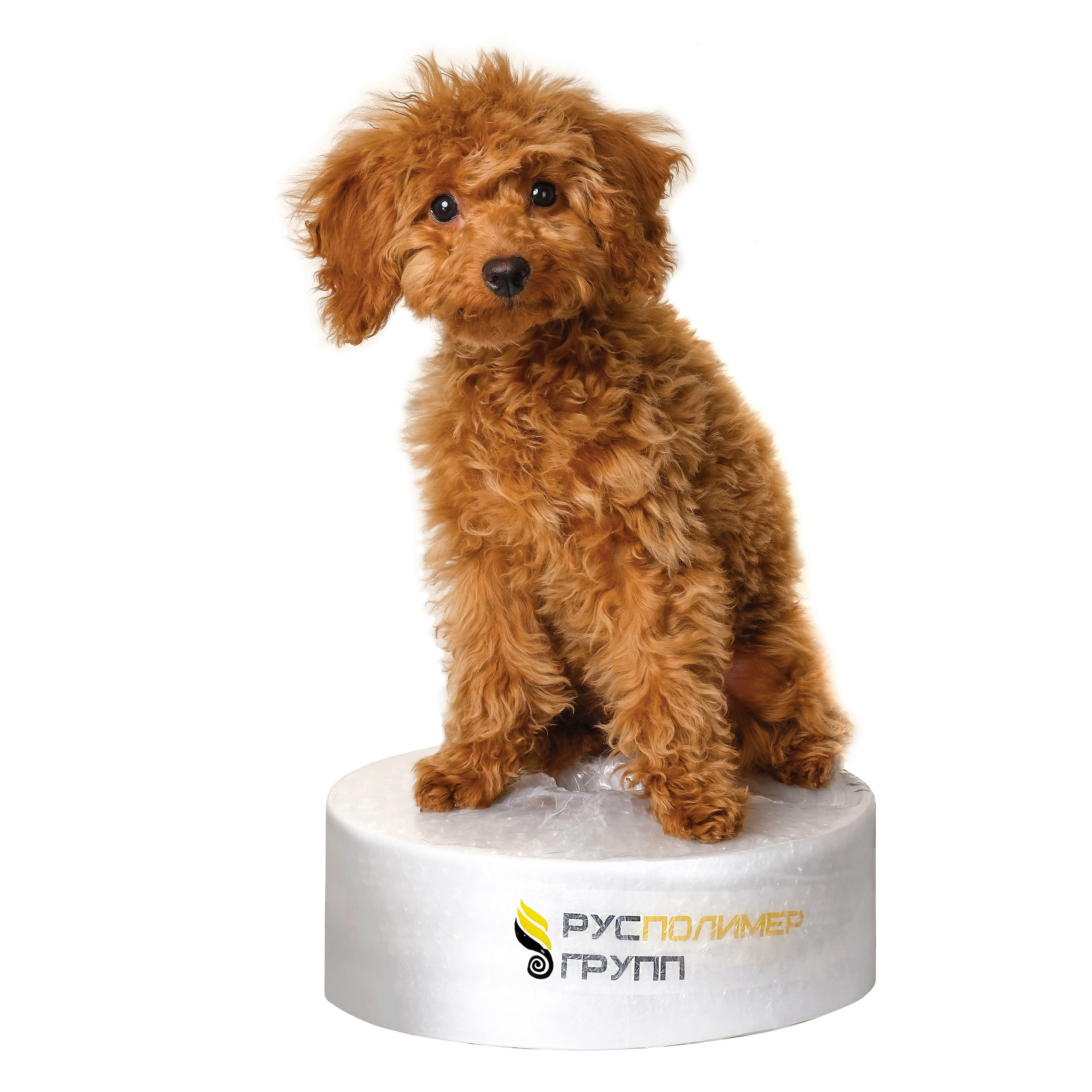 СТРОЙМАТЕРИАЛЫ