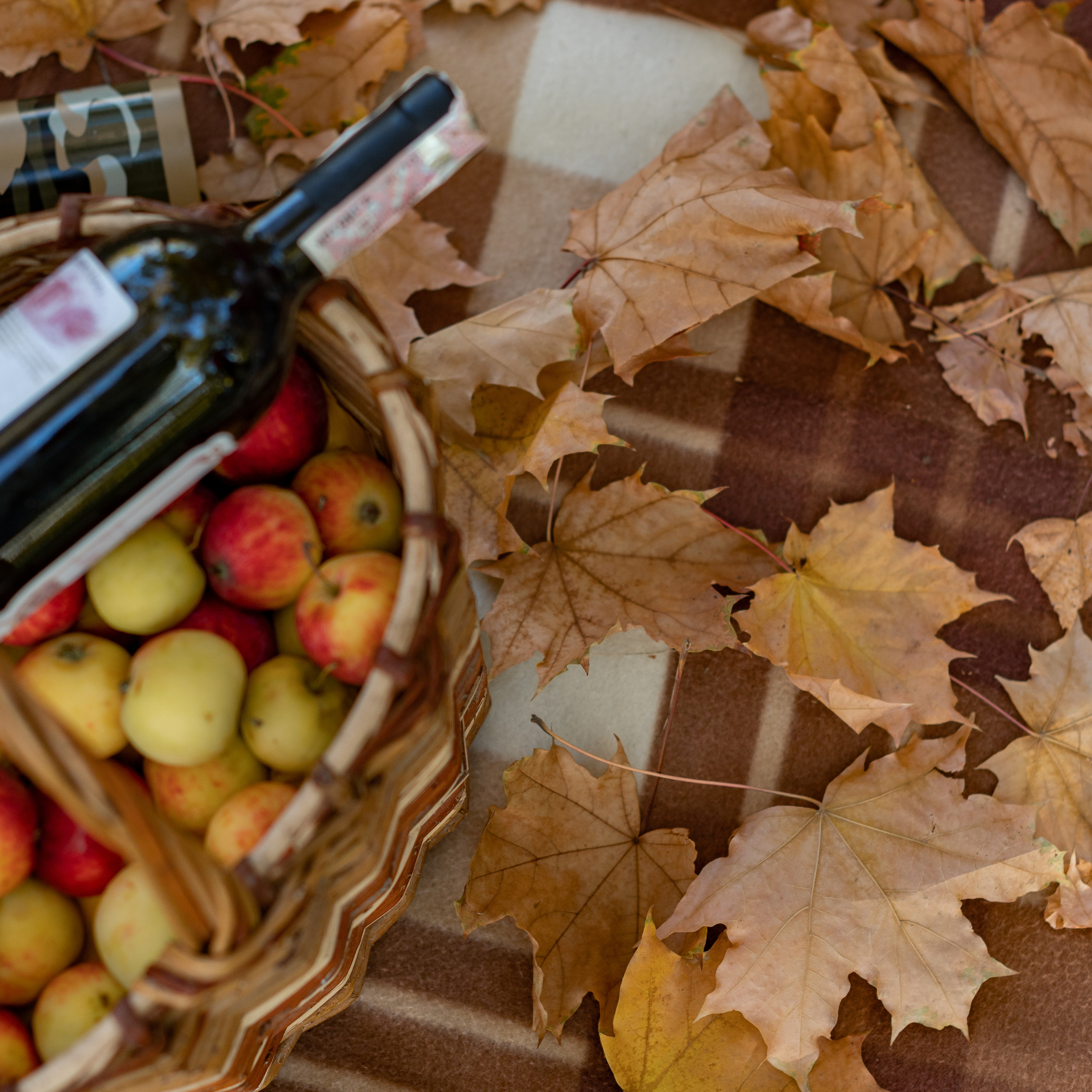 Отзывы. Семейный фотограф Тюмень