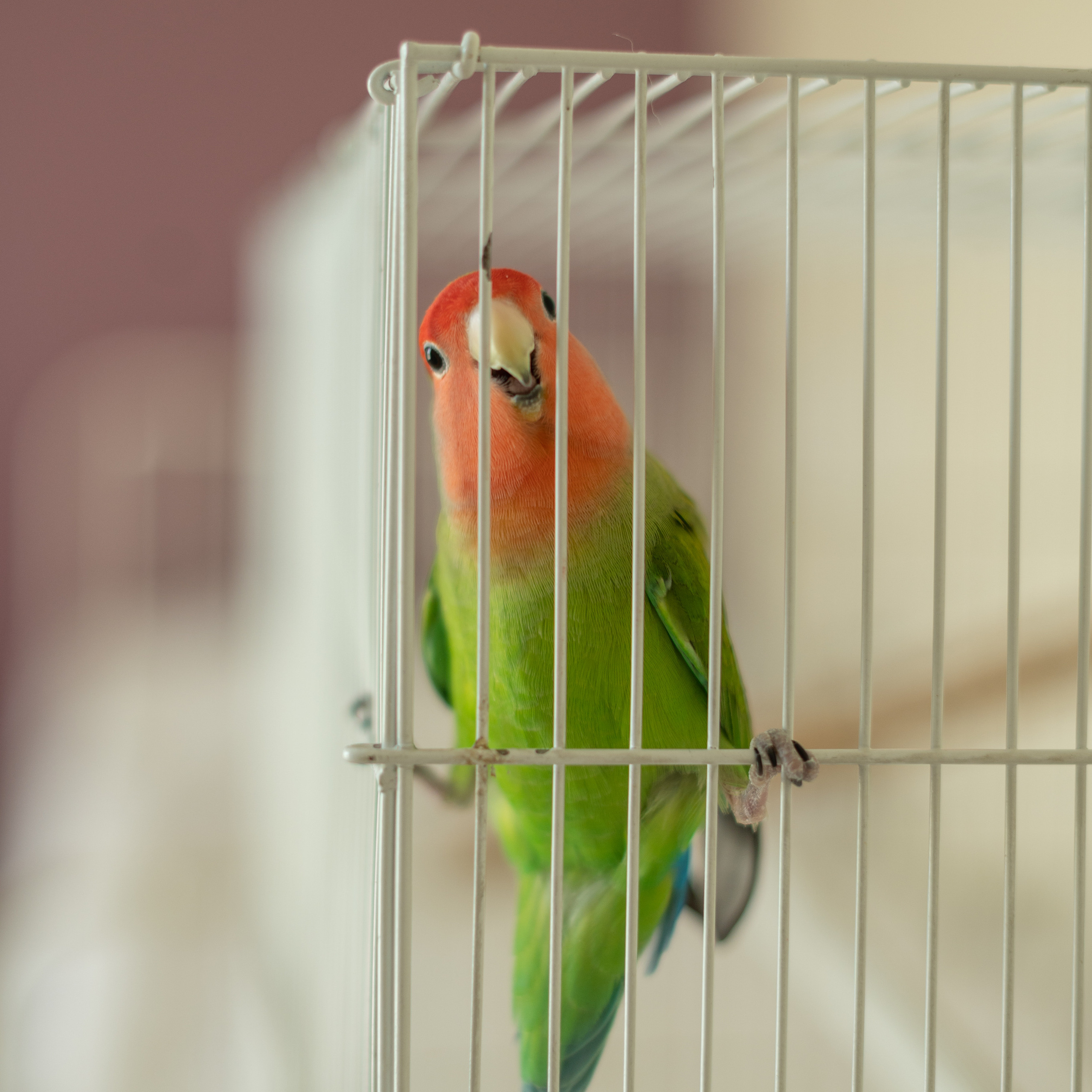 Отзывы. Семейный фотограф Тюмень