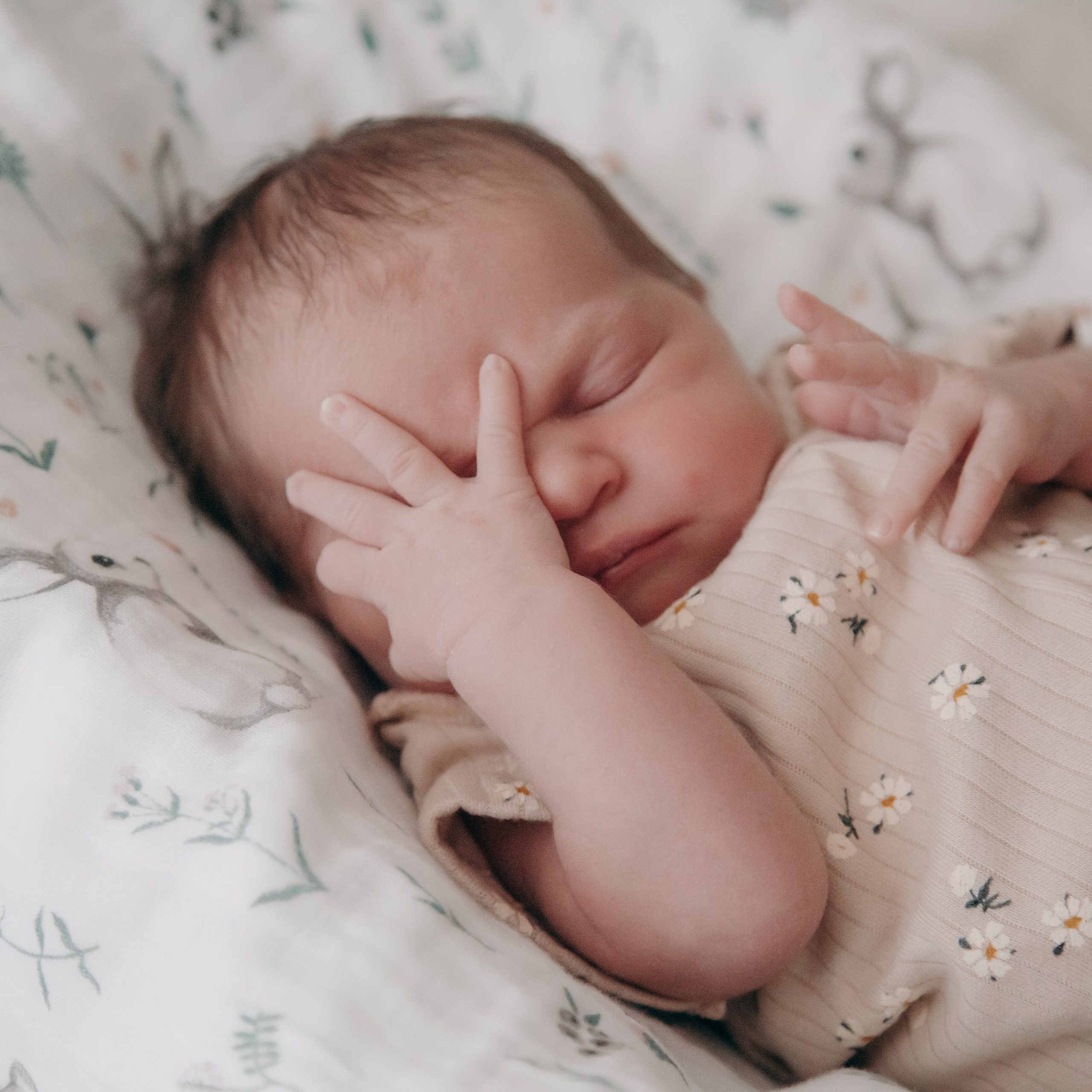 Теперь нас четверо