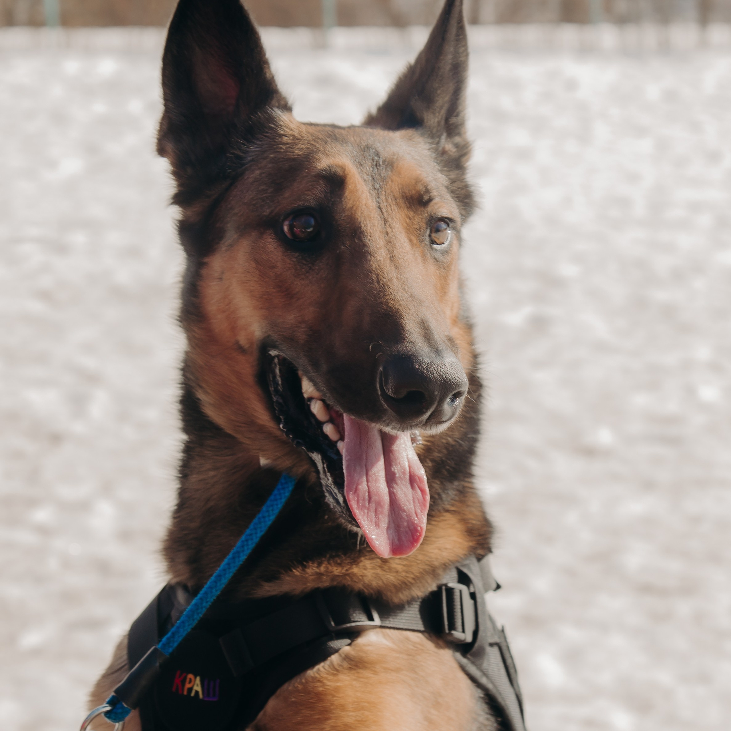 Тренировка с киноголом