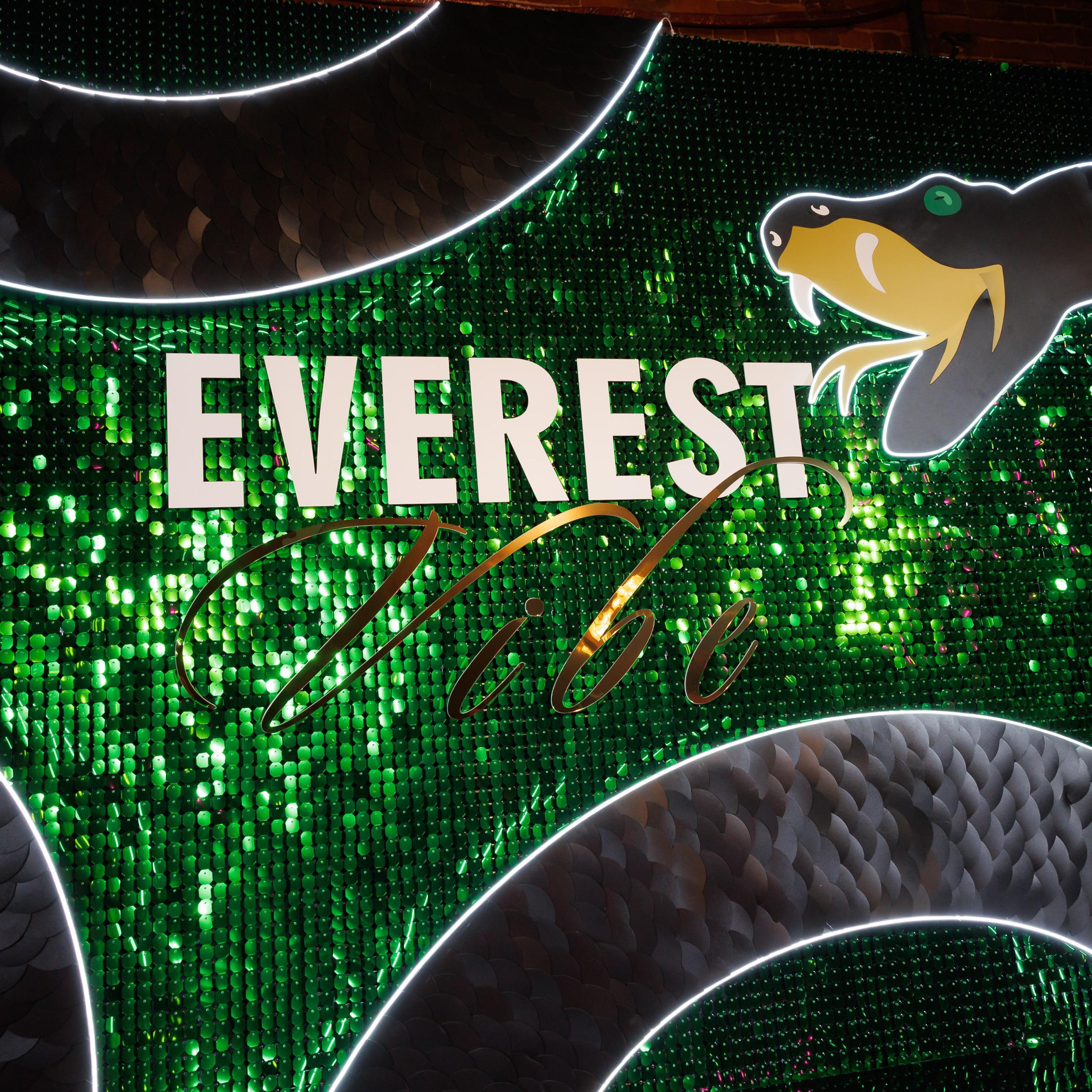 EVEREST VIBE NY «ТОЛЬКО ТС-С-С» 10.12.2024