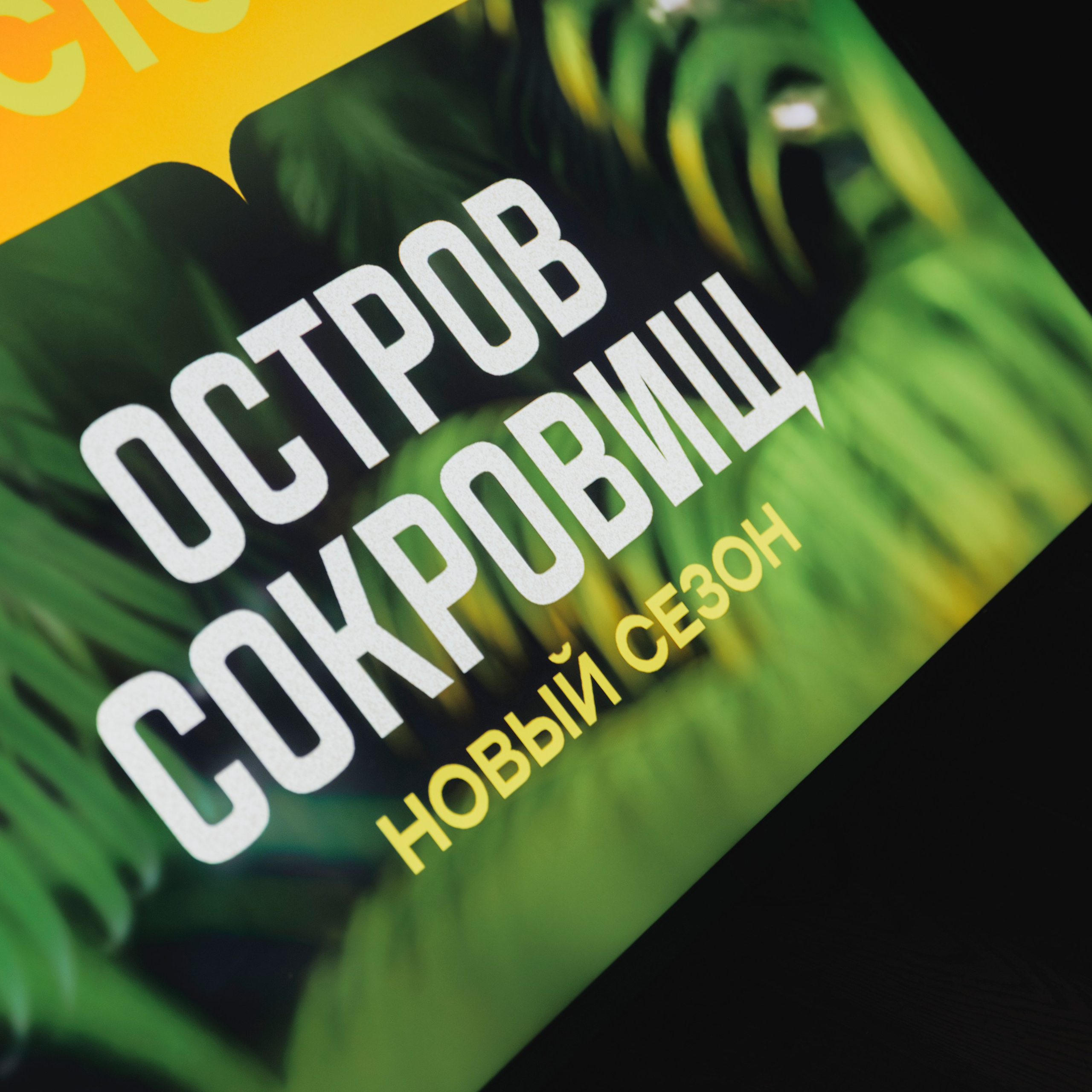 Презентация Остров Сокровищ СТС 13.02.2025