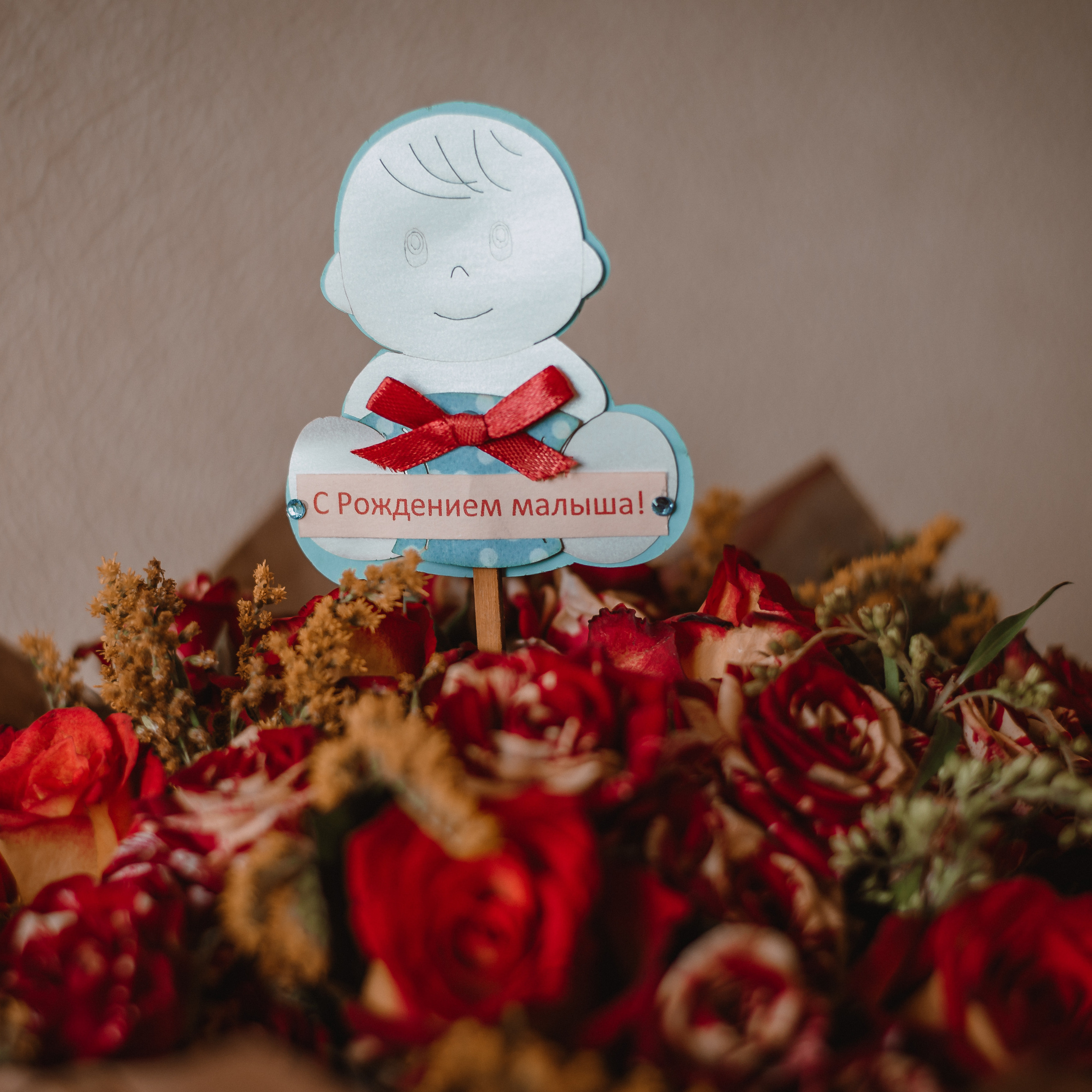 Репортажная съемка. Семейный фотограф в г.Москве Катя Норм