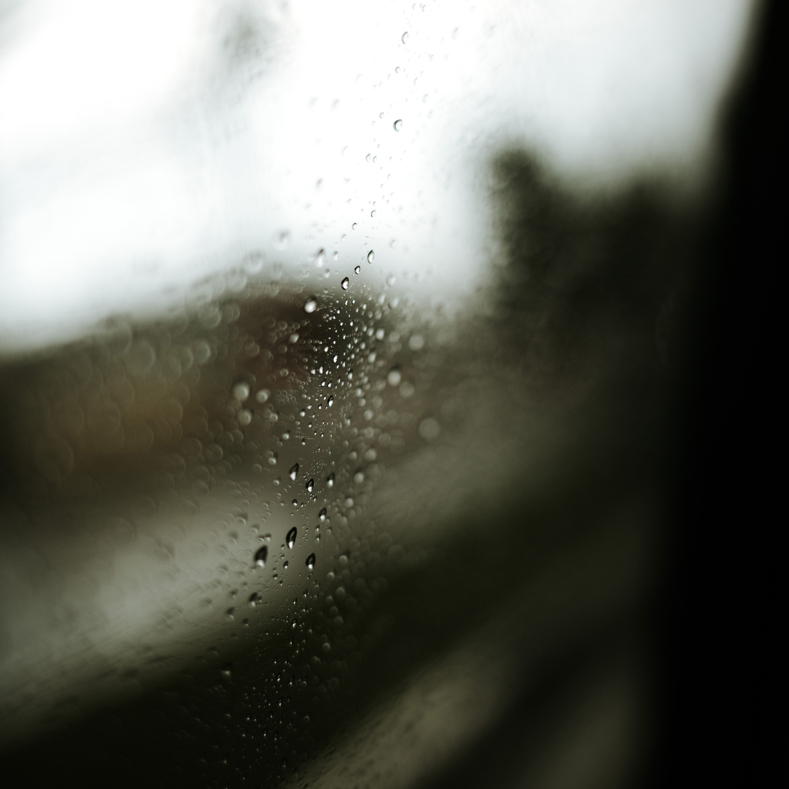 Malika&Dima. Семейный и свадебный фотограф в Москве и МО Женя Истинова