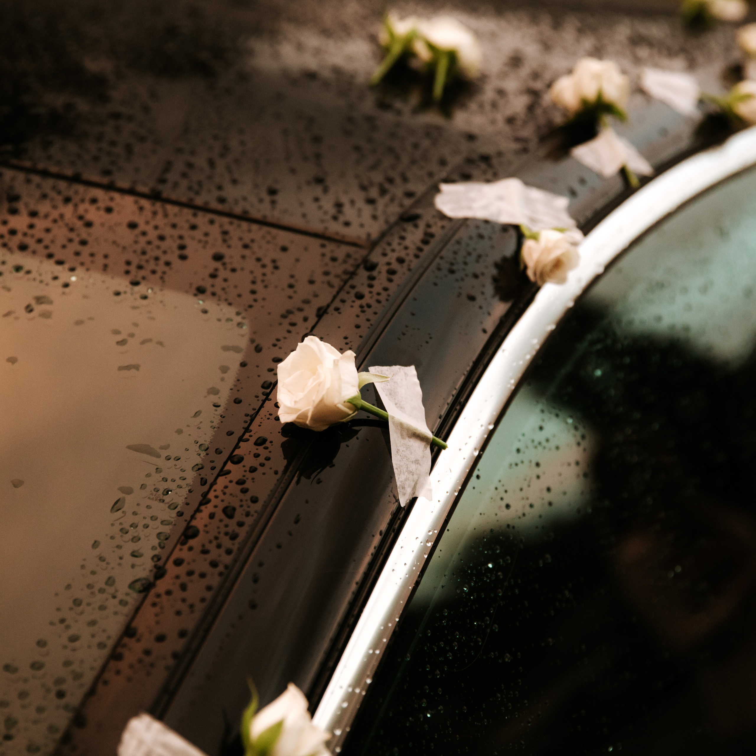 Elina&Nikita. Семейный и свадебный фотограф в Москве и МО Женя Истинова