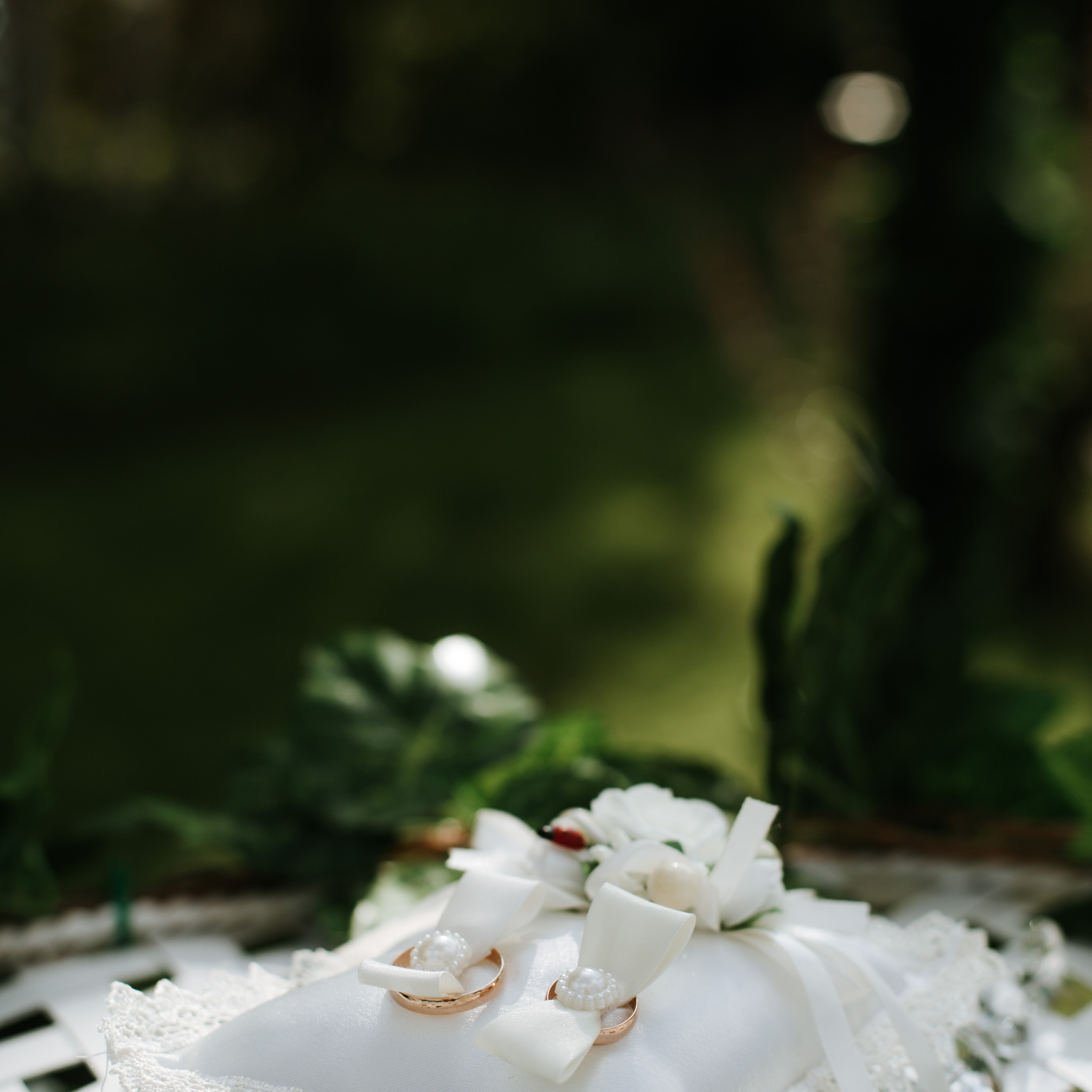 O&А. Семейный и свадебный фотограф в Москве и МО Женя Истинова