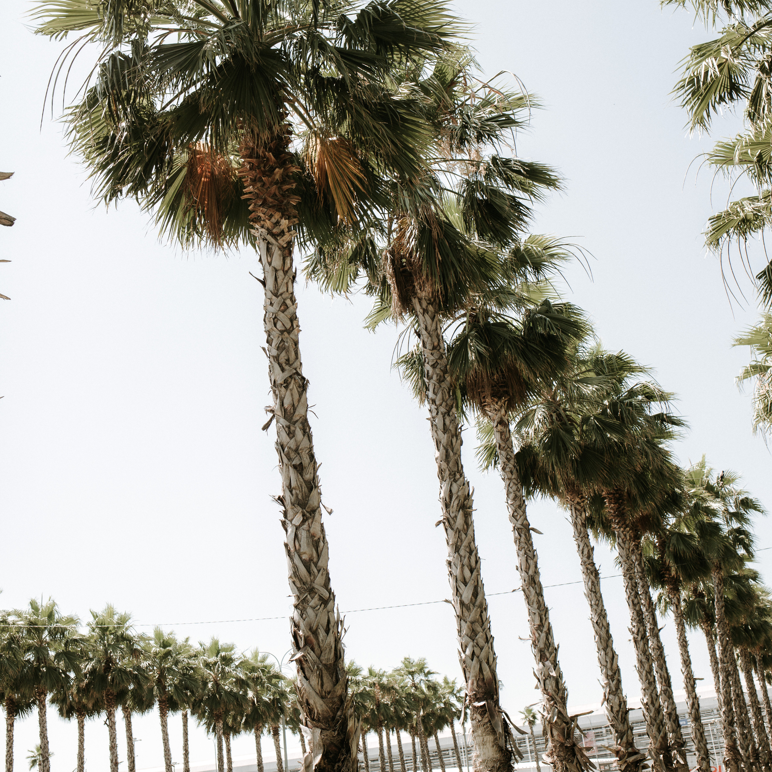 Malika&Dima. Семейный и свадебный фотограф в Москве и МО Женя Истинова